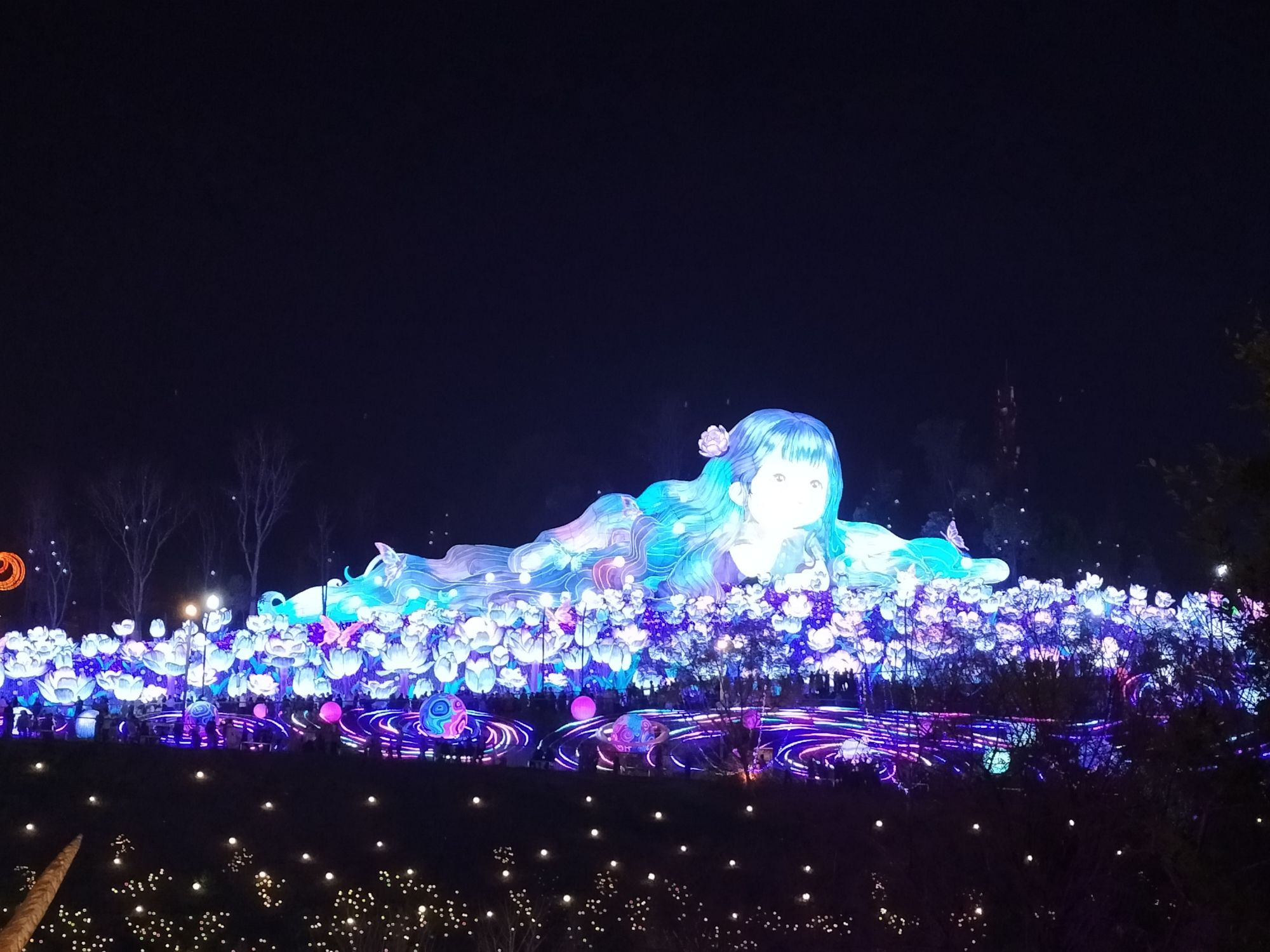 中华彩灯大世界旅行图片 2