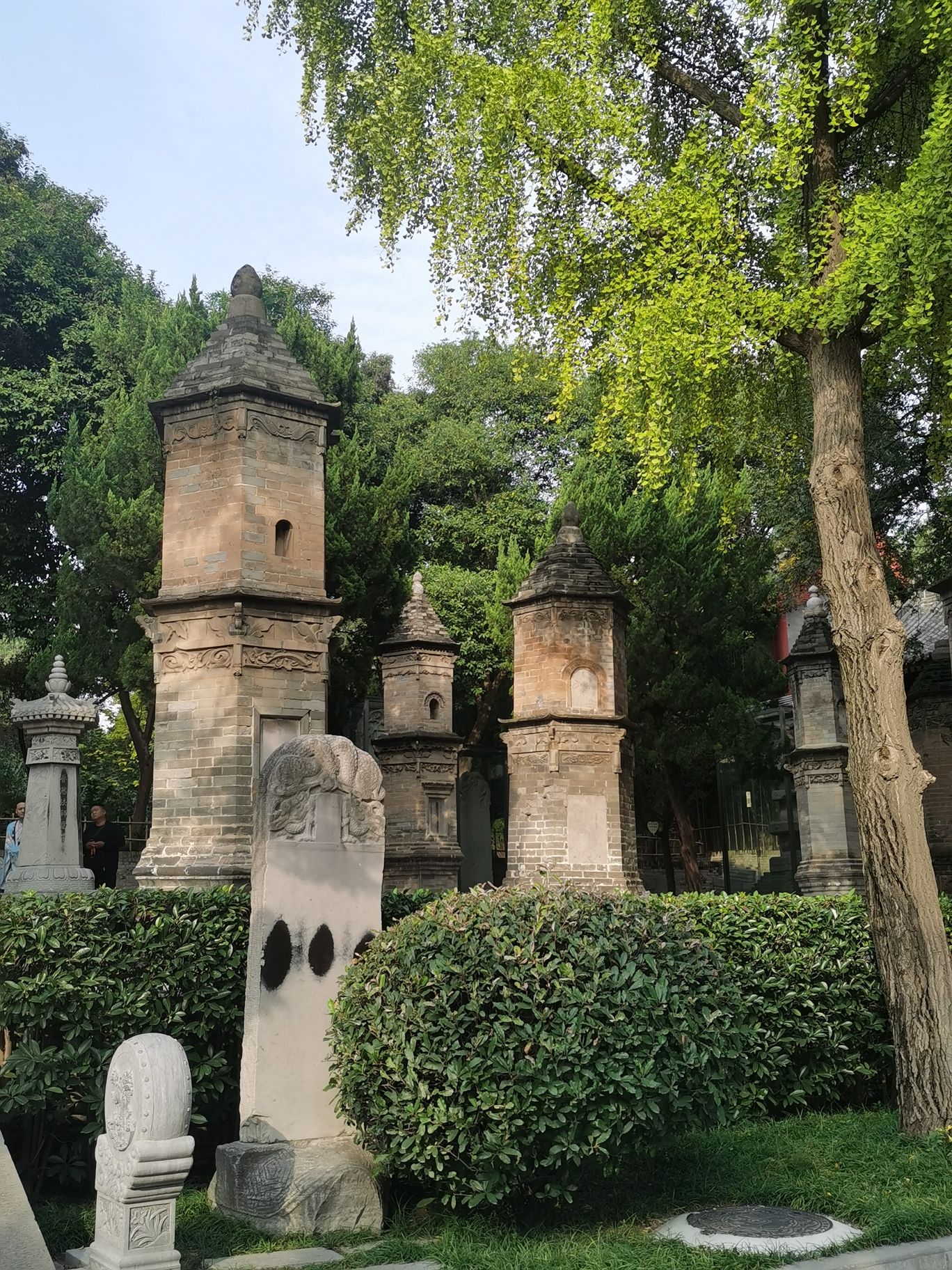 大雁塔旅行图片 2