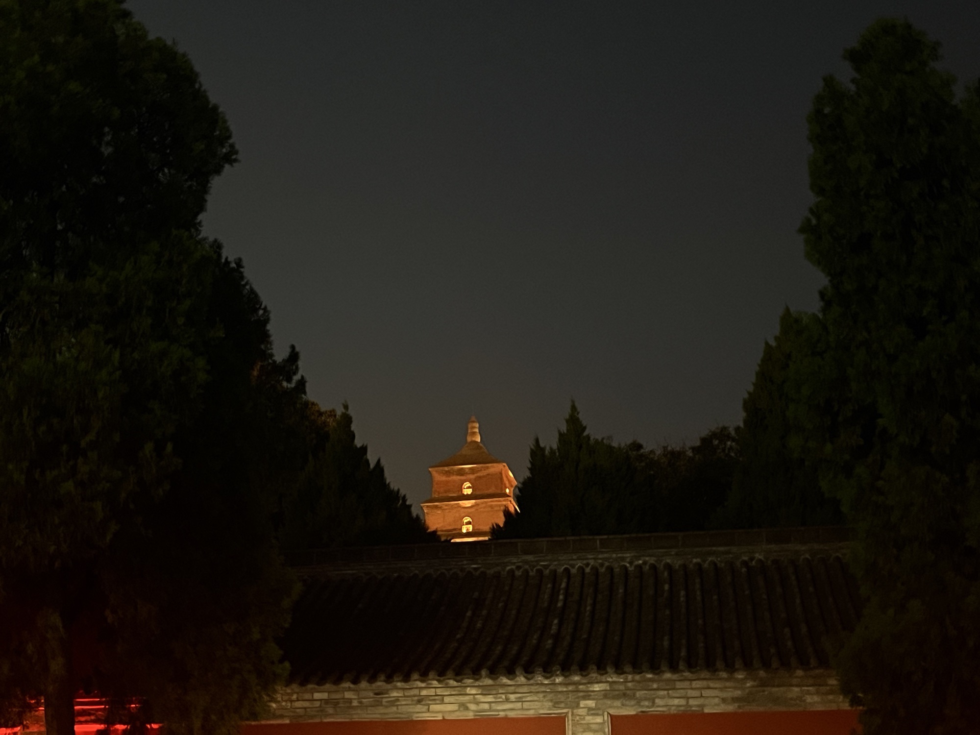 大雁塔旅行图片 3