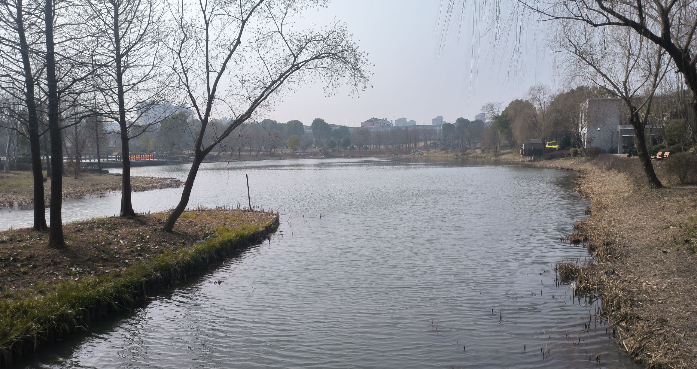 春申公园旅行图片 2