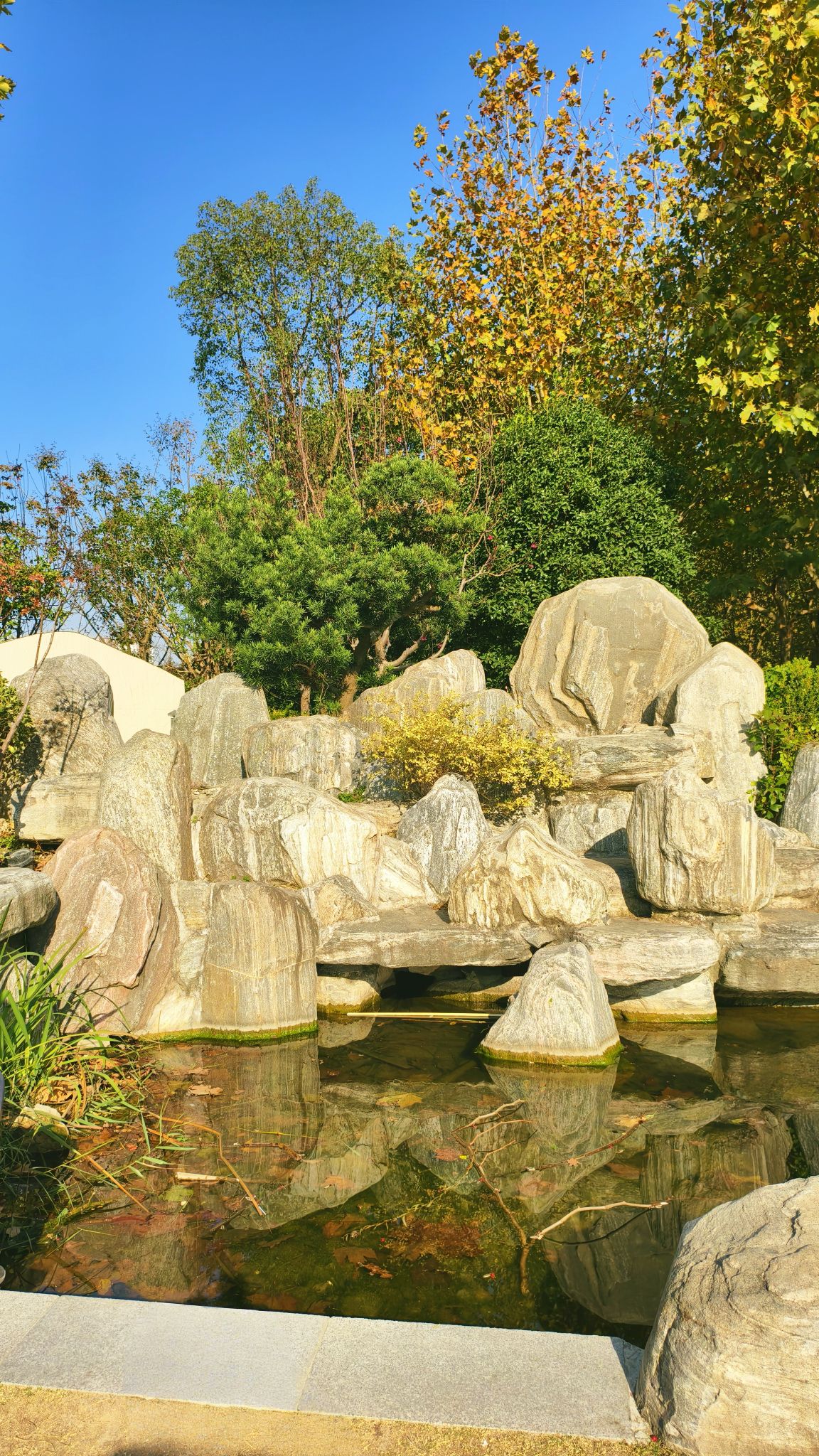 春申公园旅行图片 3