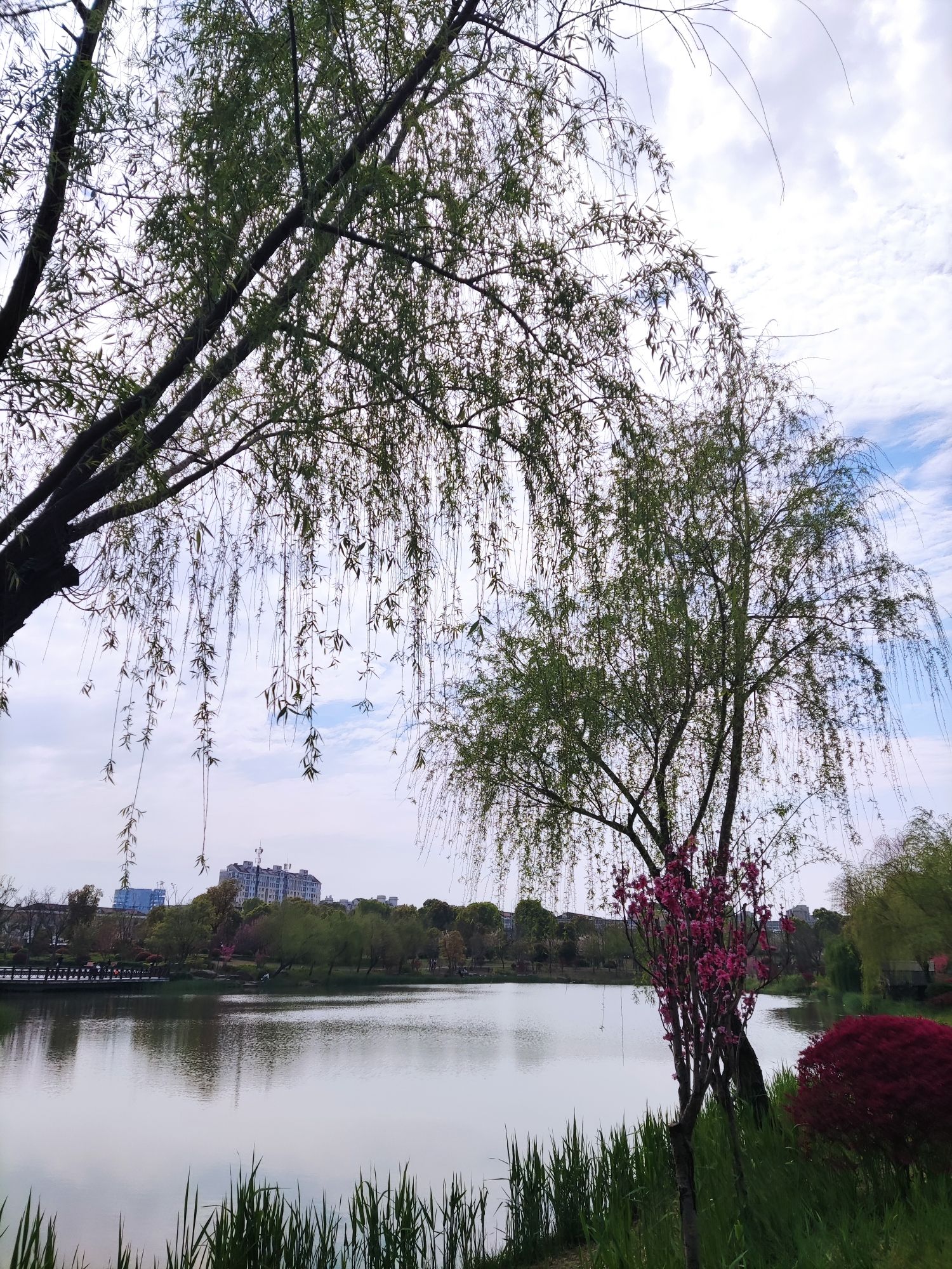 春申公园旅行图片 2