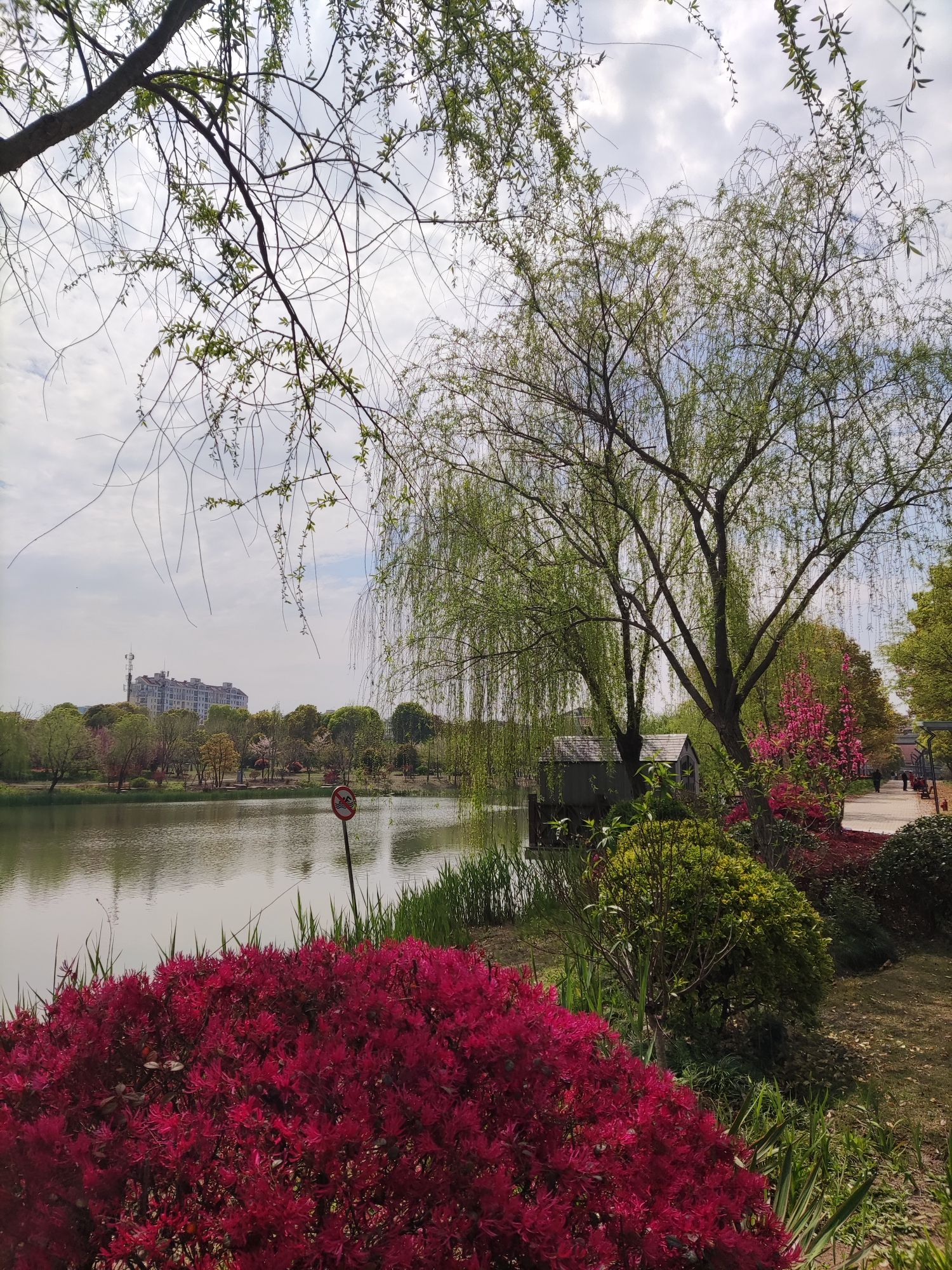 春申公园旅行图片 1