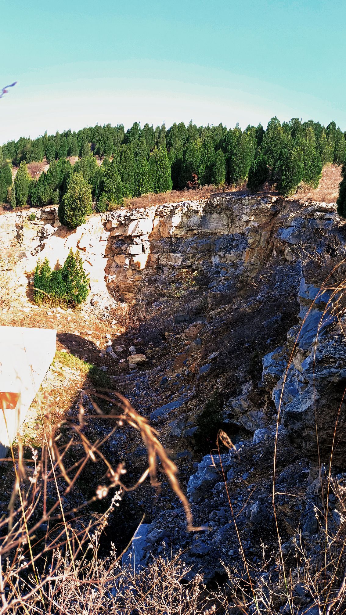 围子山郊野公园旅行图片 3