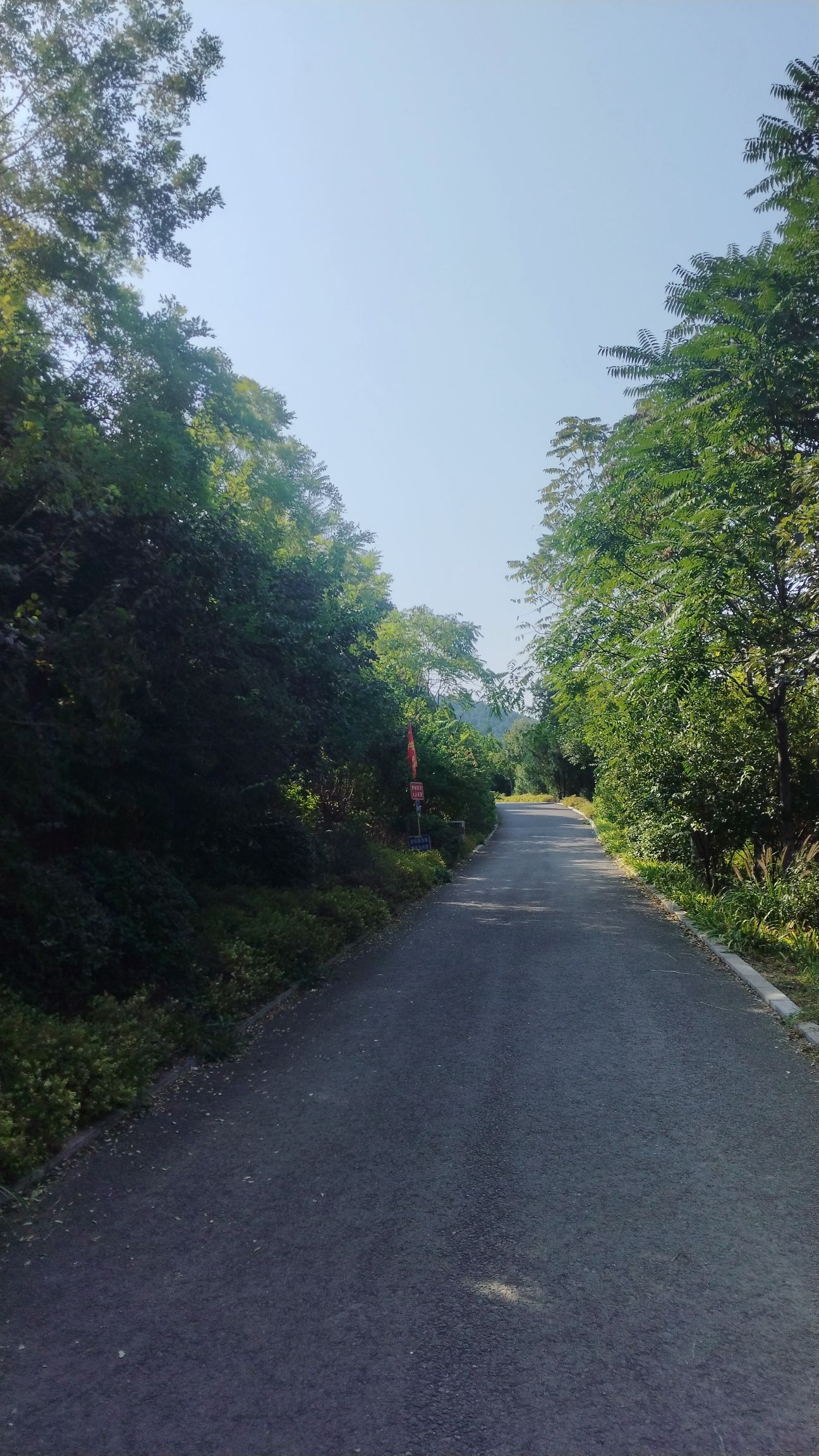 围子山郊野公园旅行图片 3