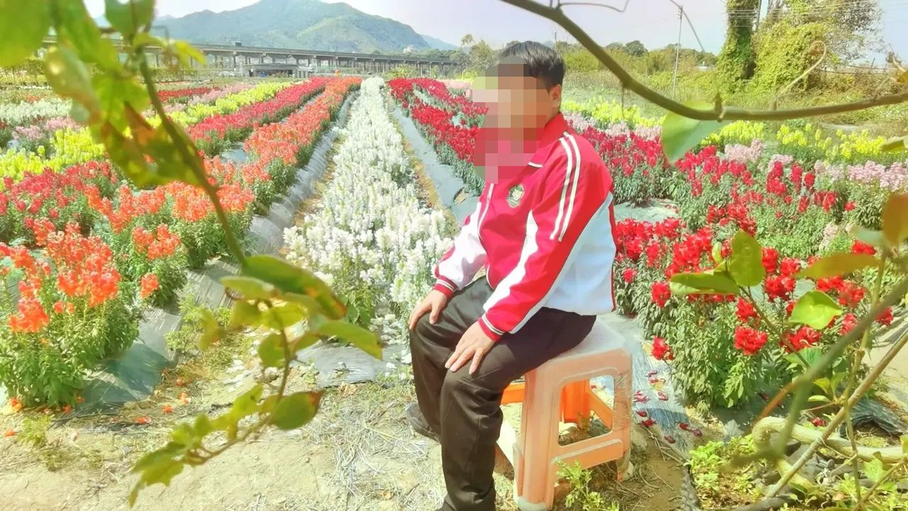 田园花海旅行图片 1