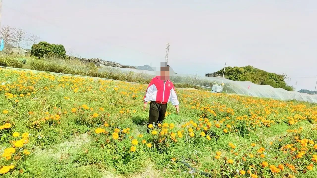 田园花海旅行图片 2