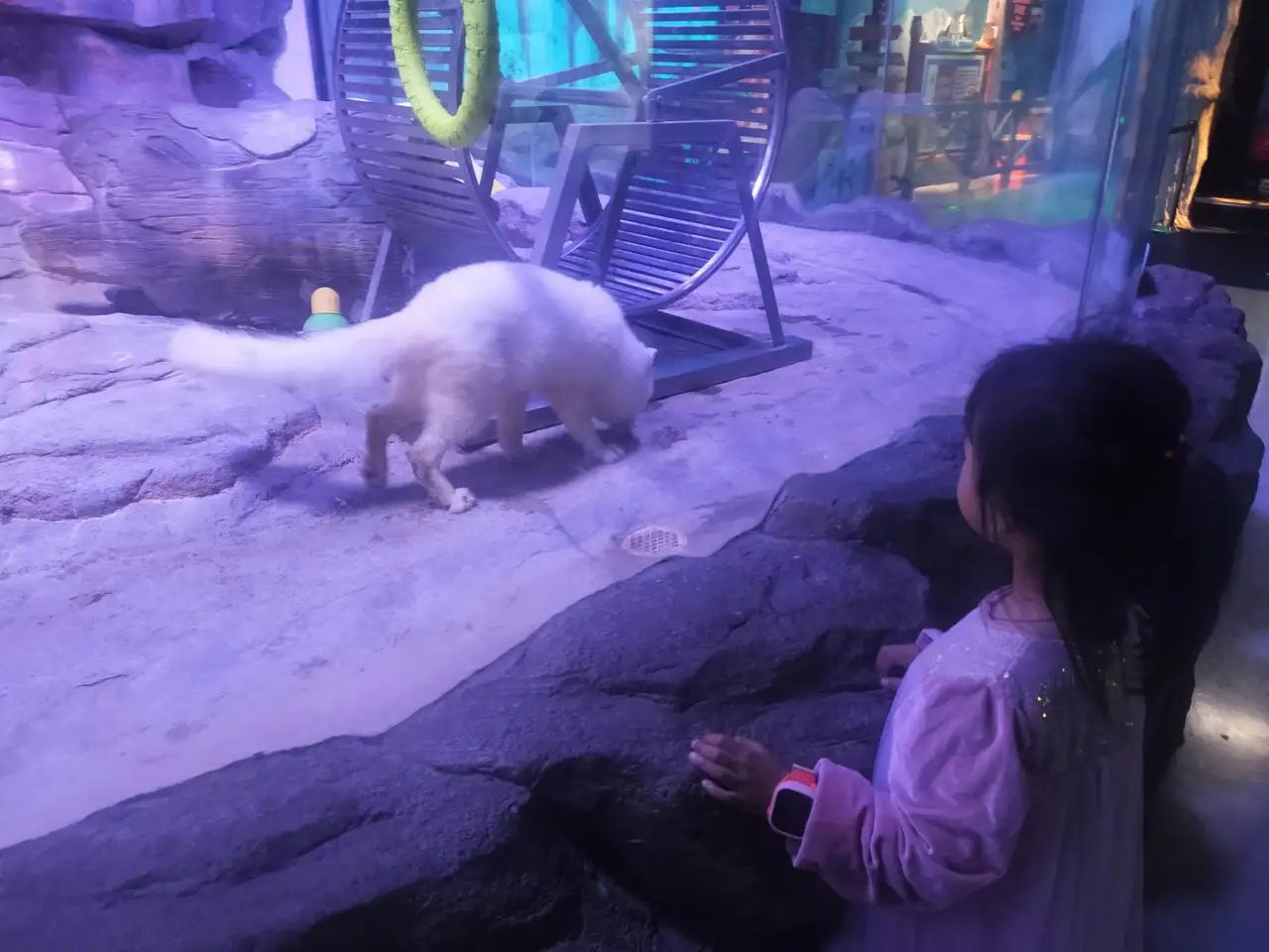 秦巴海洋世界旅行图片 2