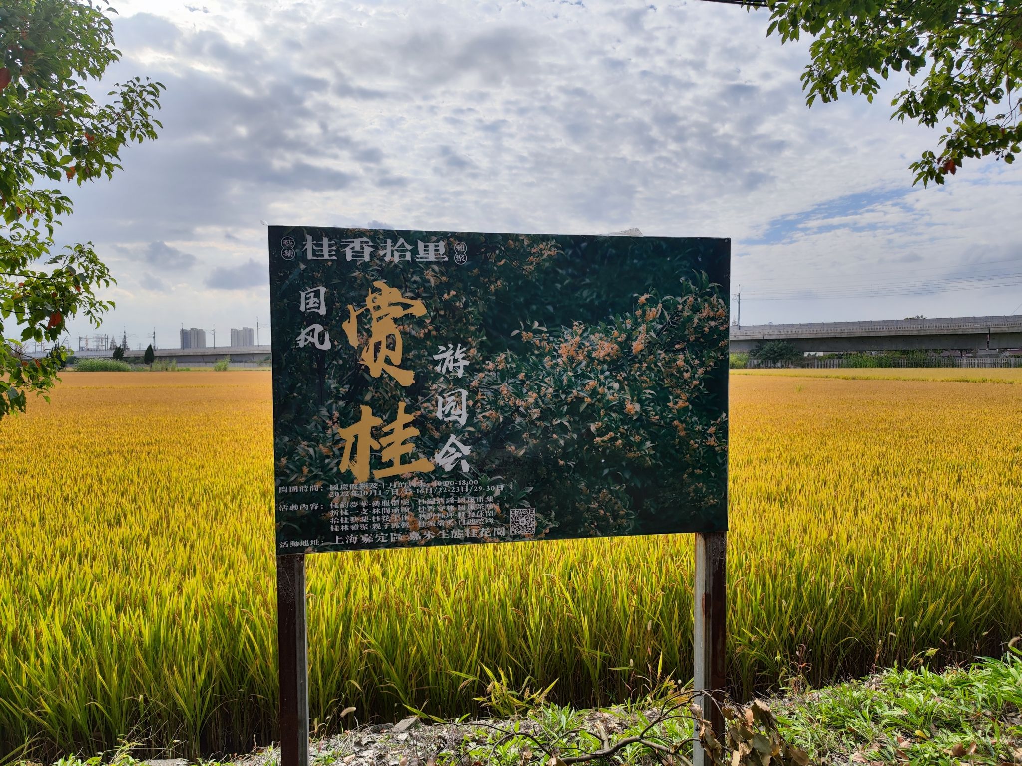 上海市嘉朱生态桂花园旅行图片 1