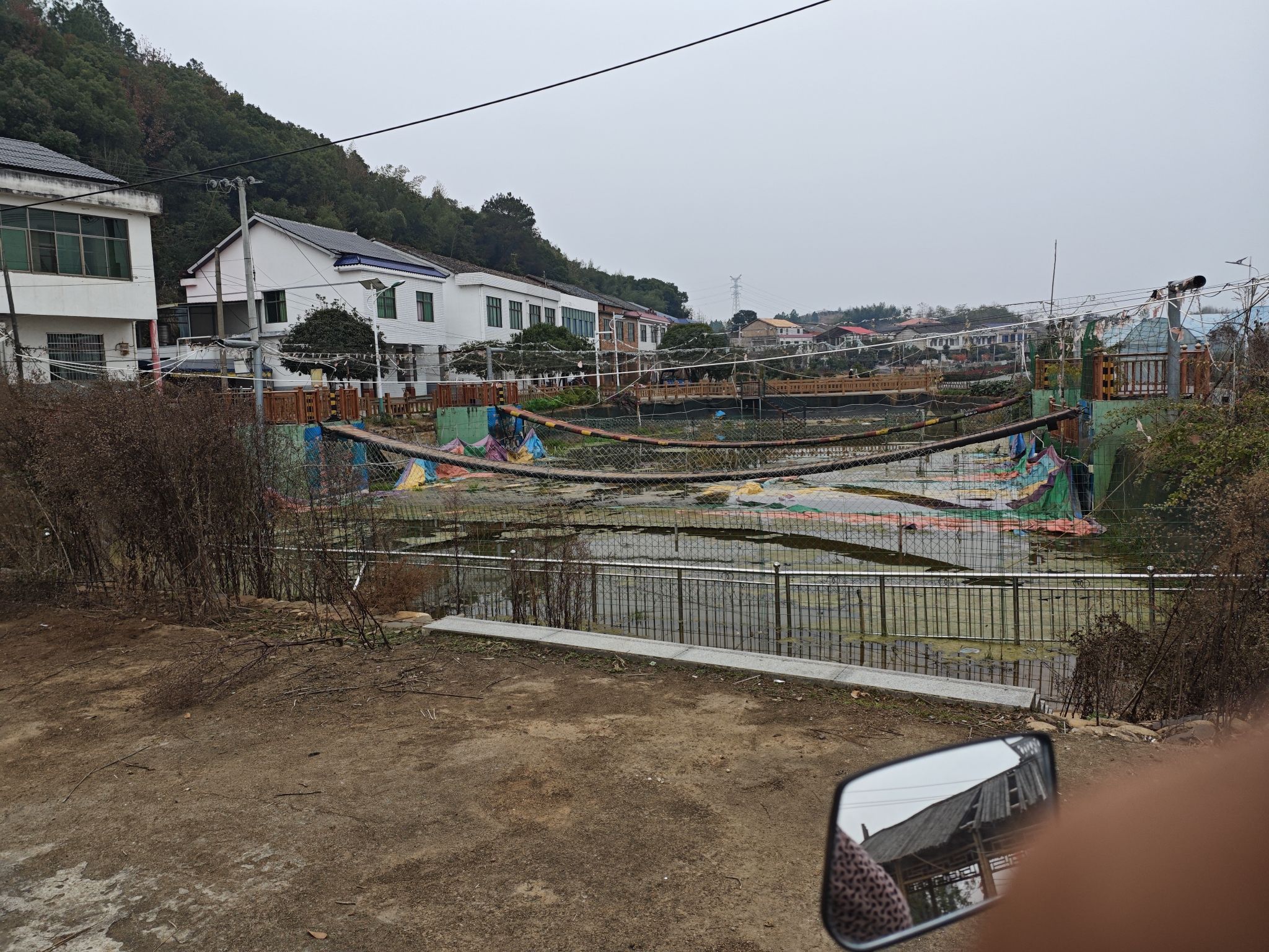 网红桥旅行图片 1