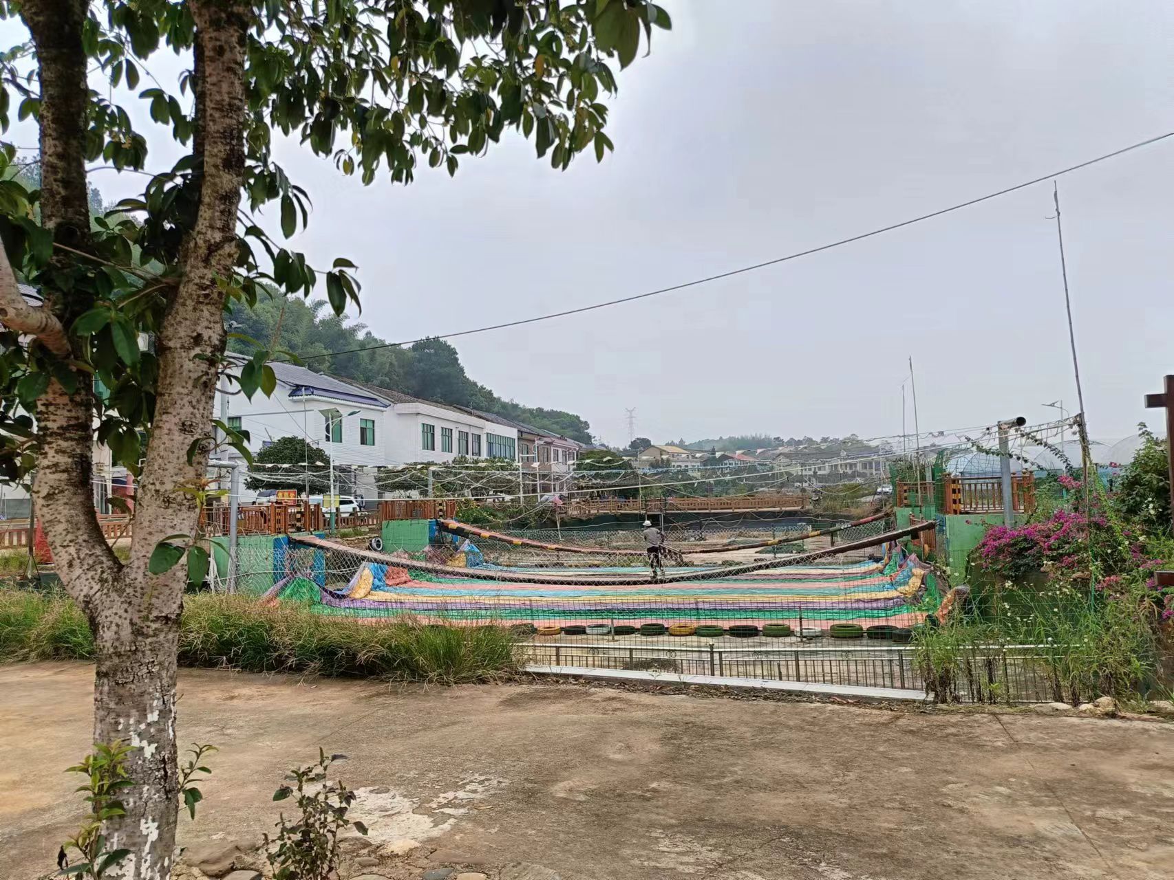 网红桥旅行图片 1