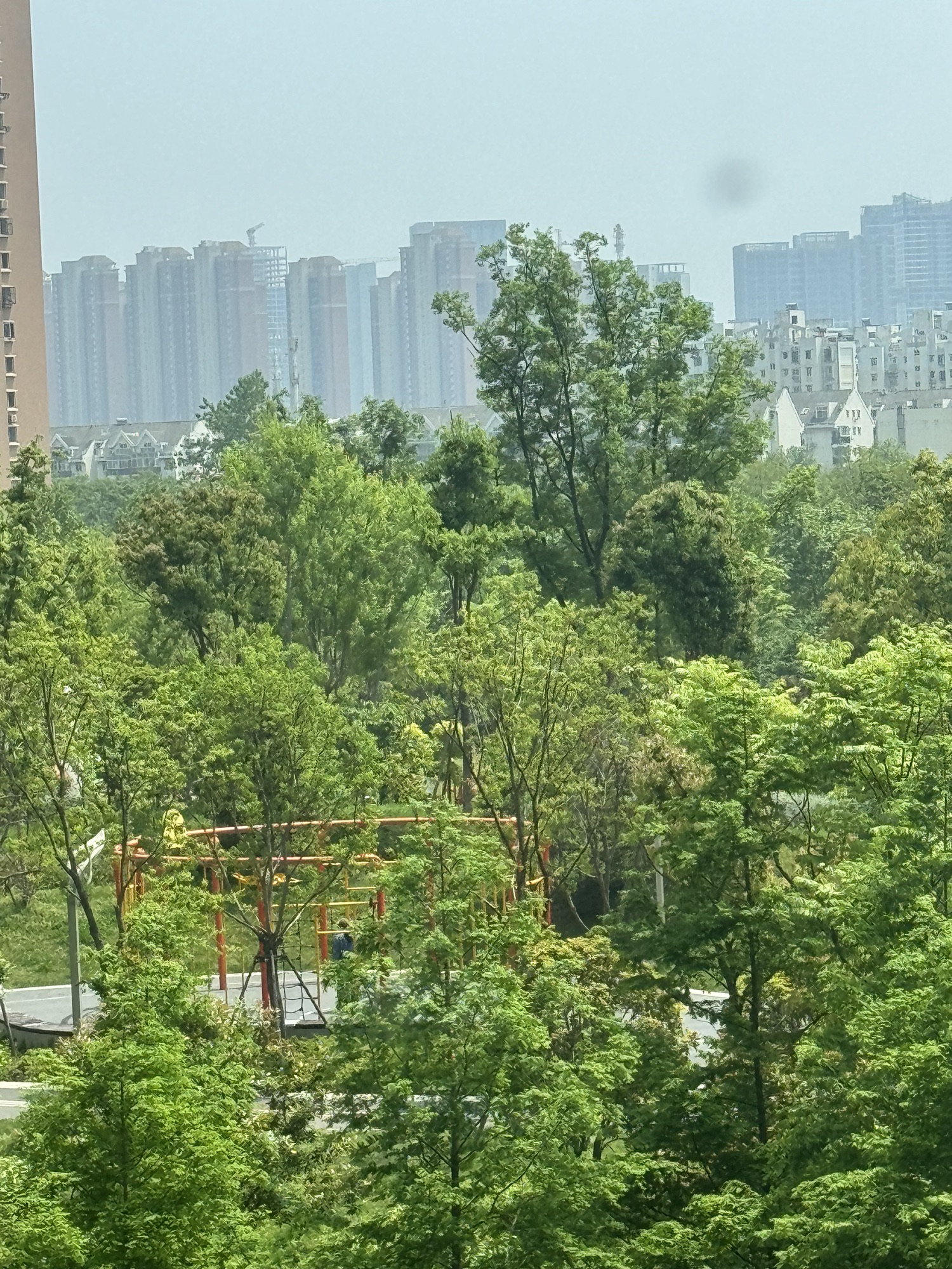 汉广海棠公园旅行图片 3