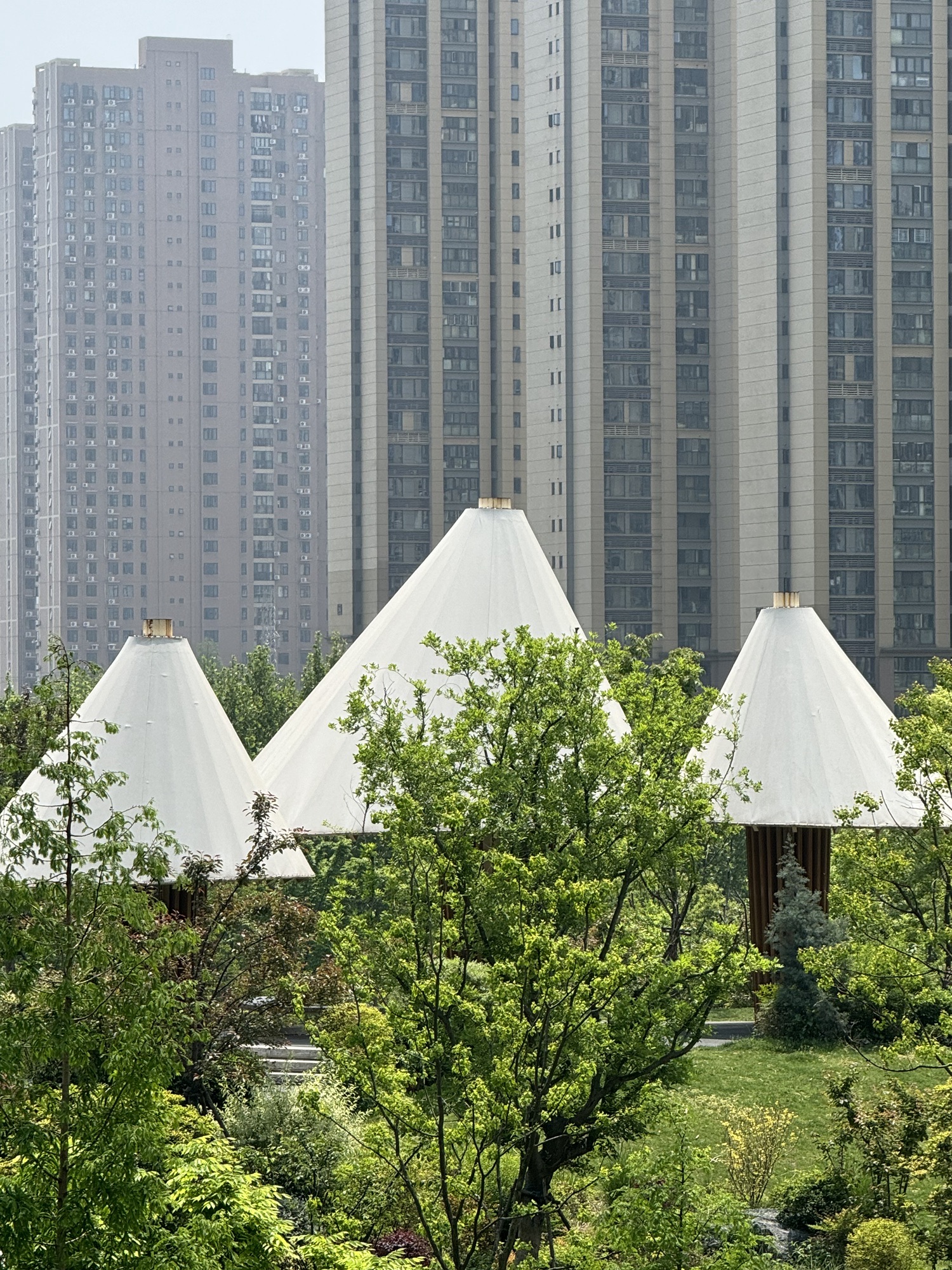 汉广海棠公园旅行图片 2