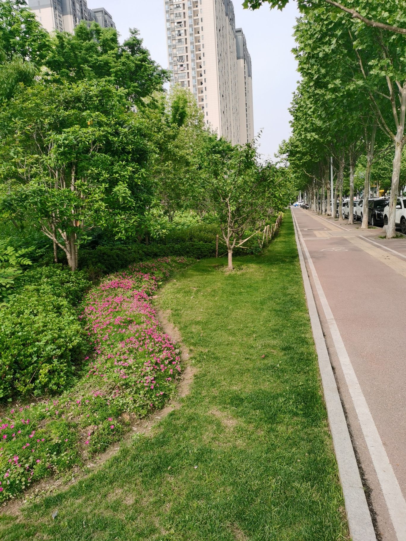 汉广海棠公园旅行图片 2