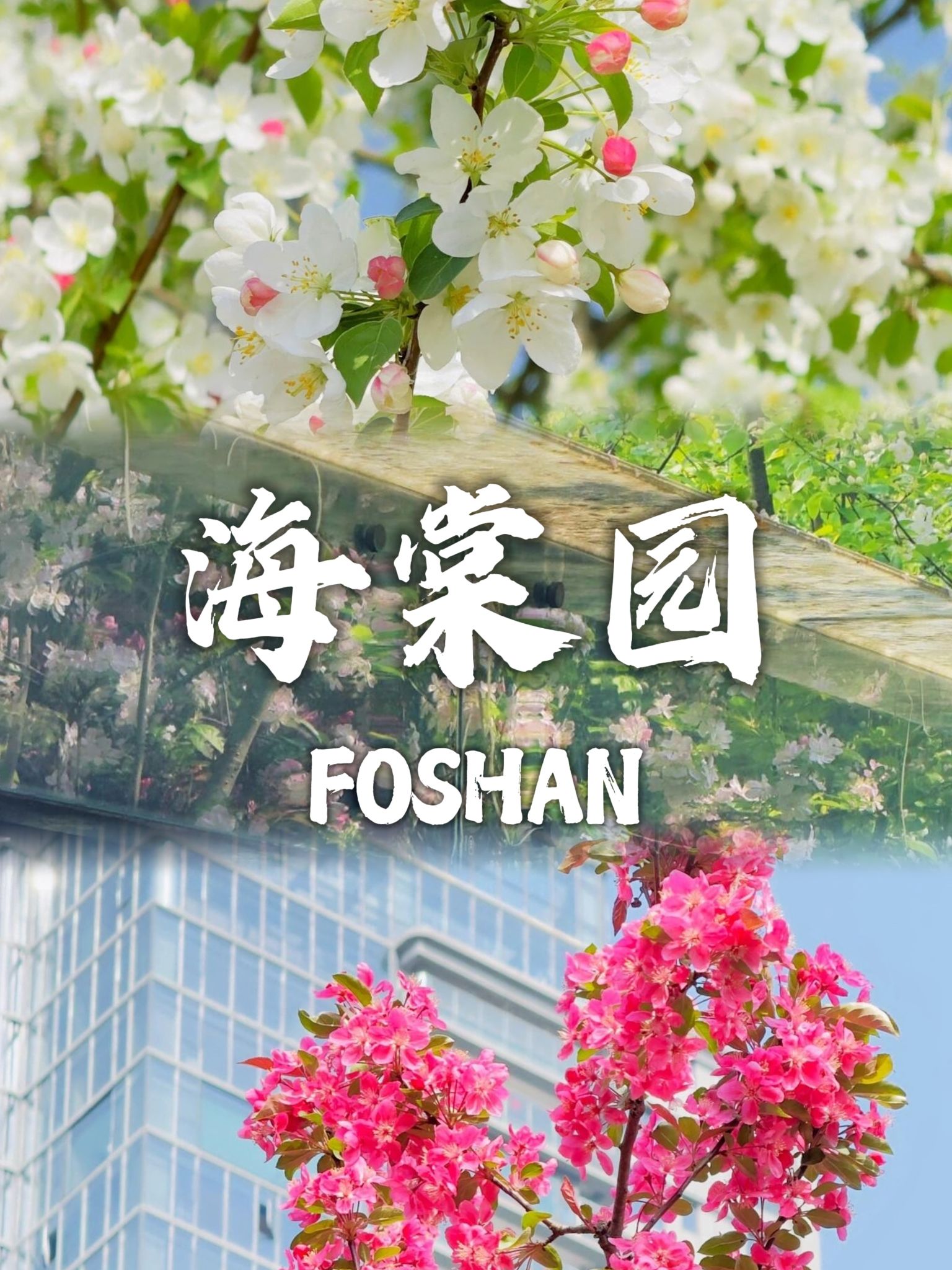 汉广海棠公园旅行图片 1