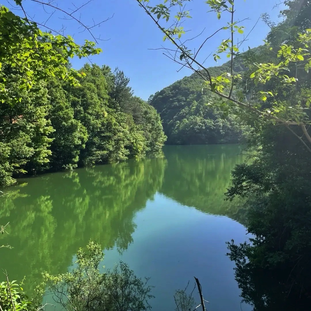 水龙瀑布旅行图片 2