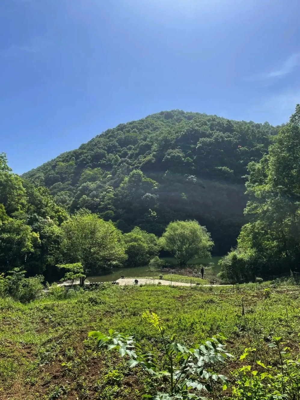 水龙瀑布旅行图片 3