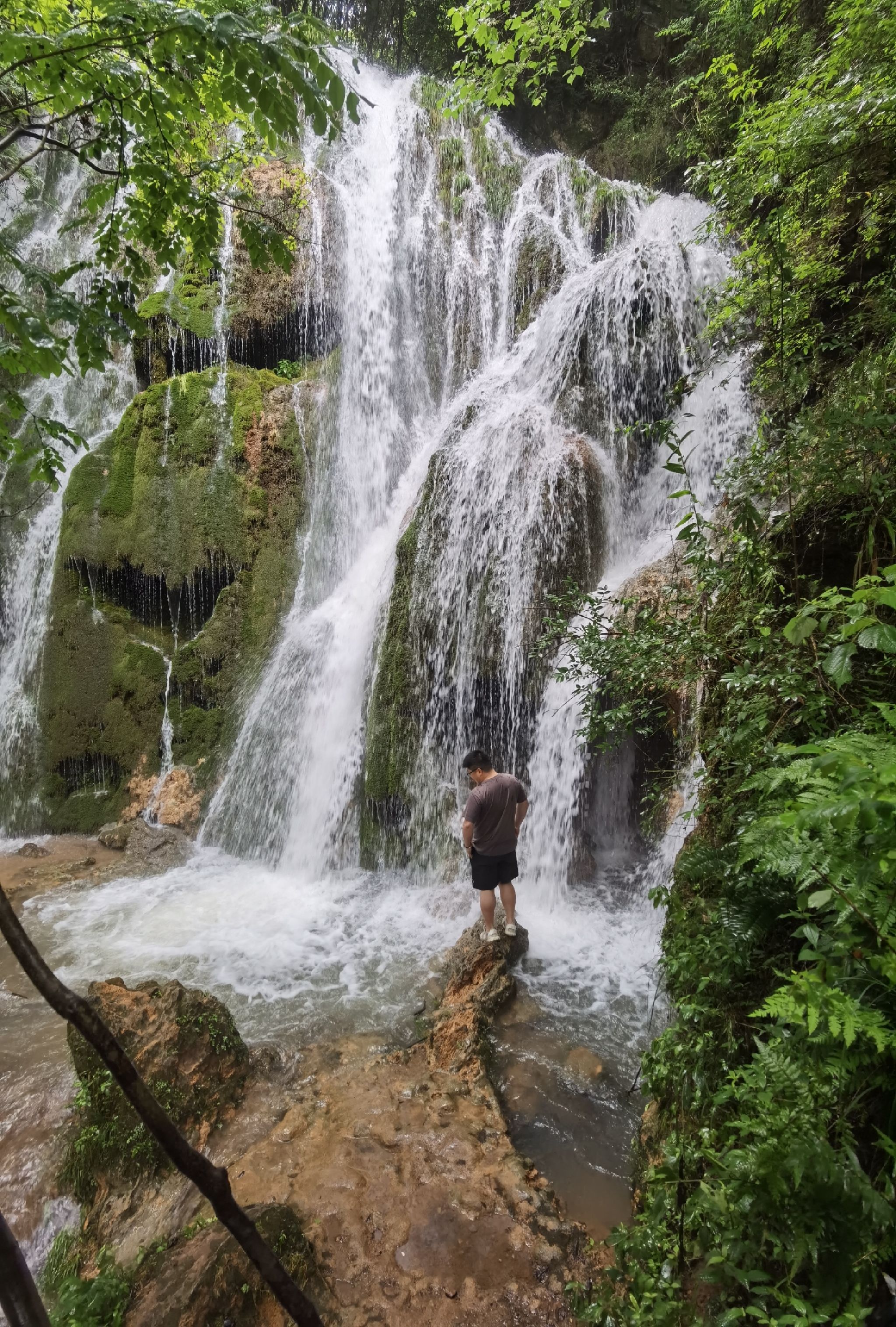 水龙瀑布旅行图片 1