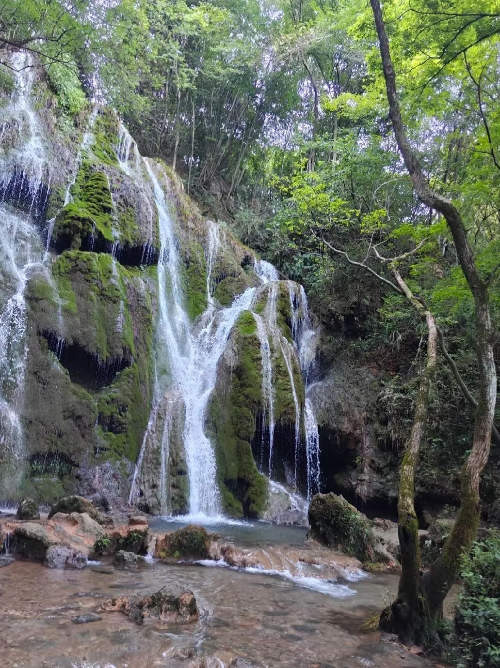水龙瀑布旅行图片 2