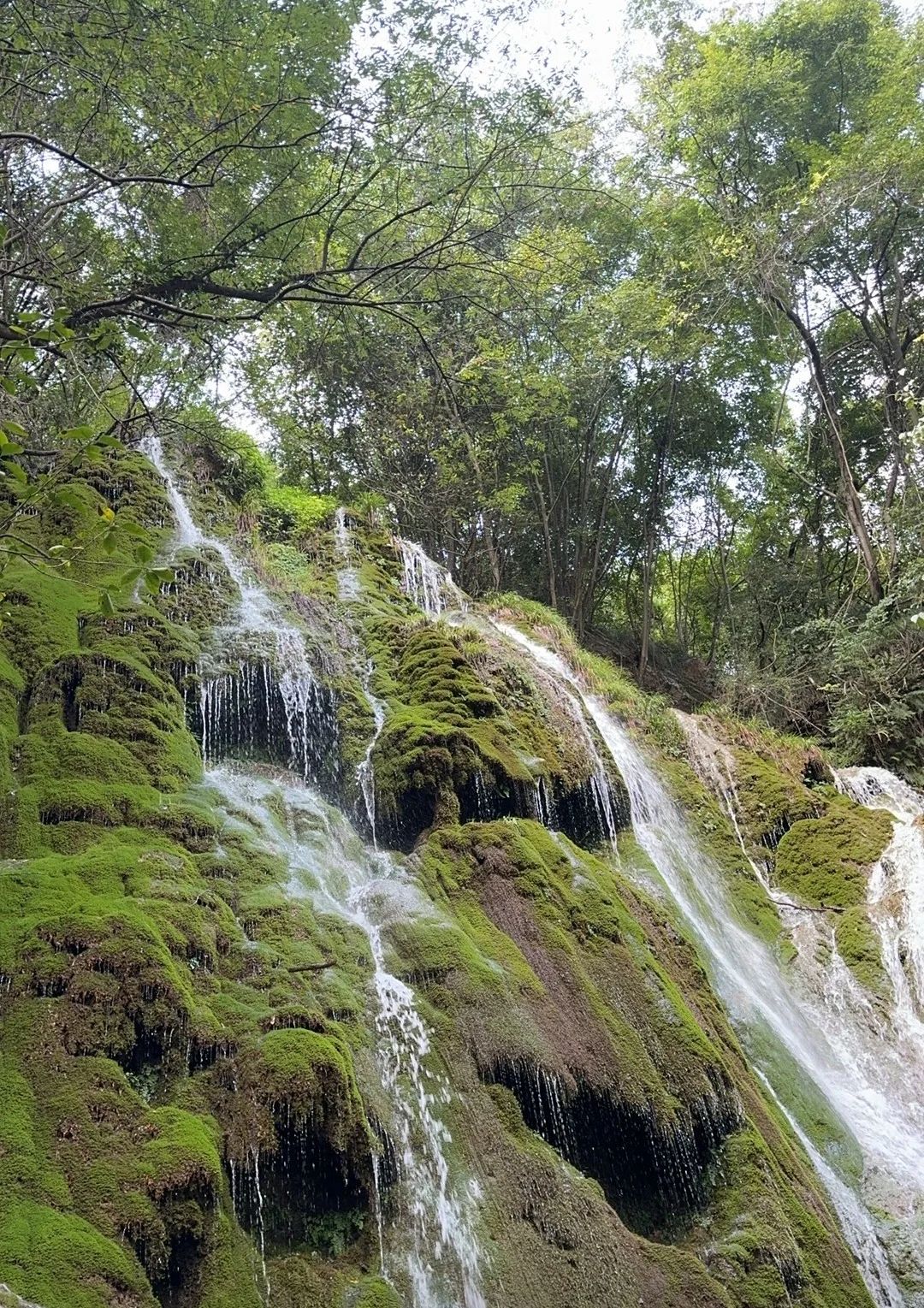 水龙瀑布旅行图片 1
