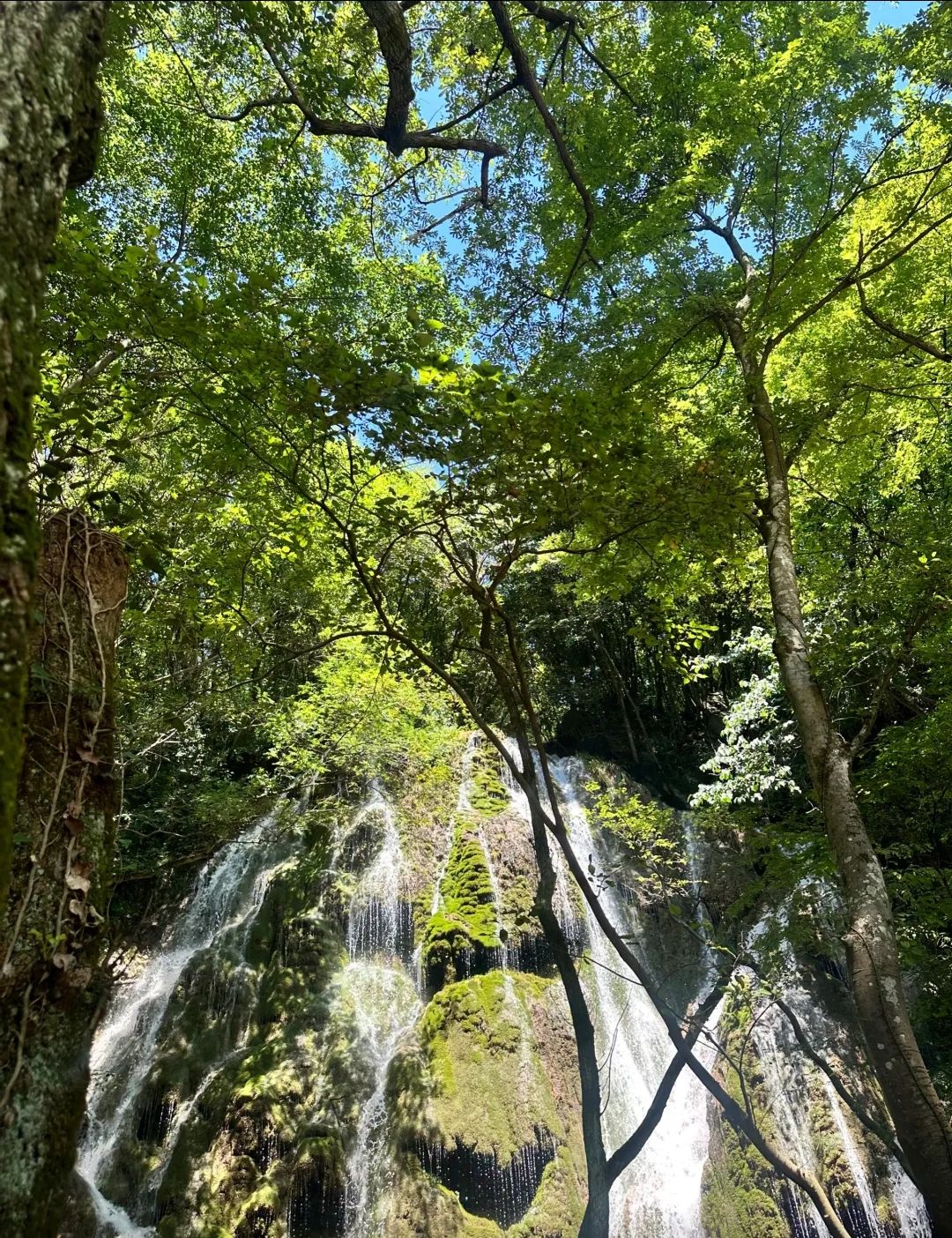 水龙瀑布旅行图片 3