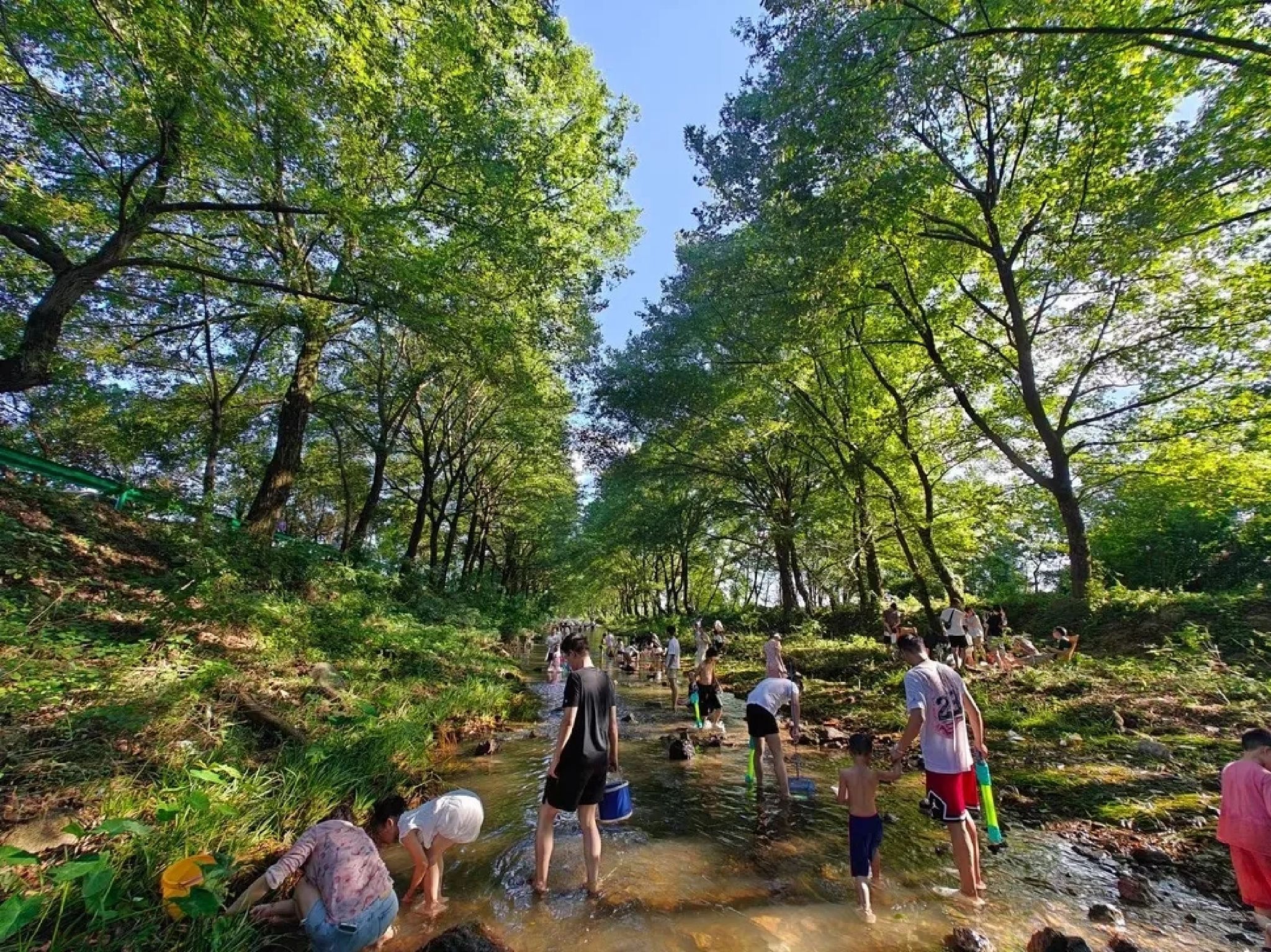 水龙瀑布旅行图片 1