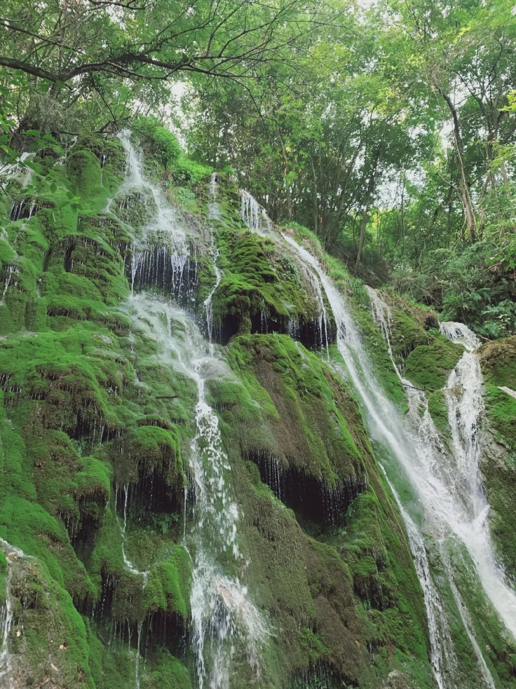 水龙瀑布旅行图片 3