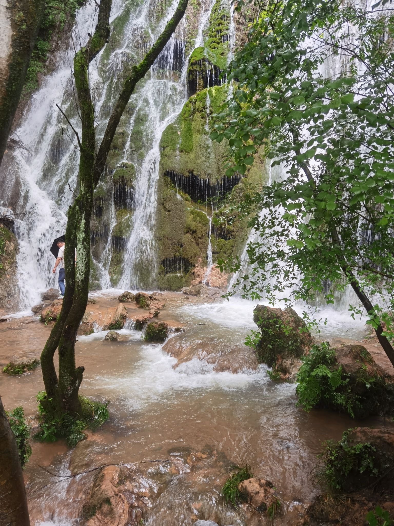 水龙瀑布旅行图片 3