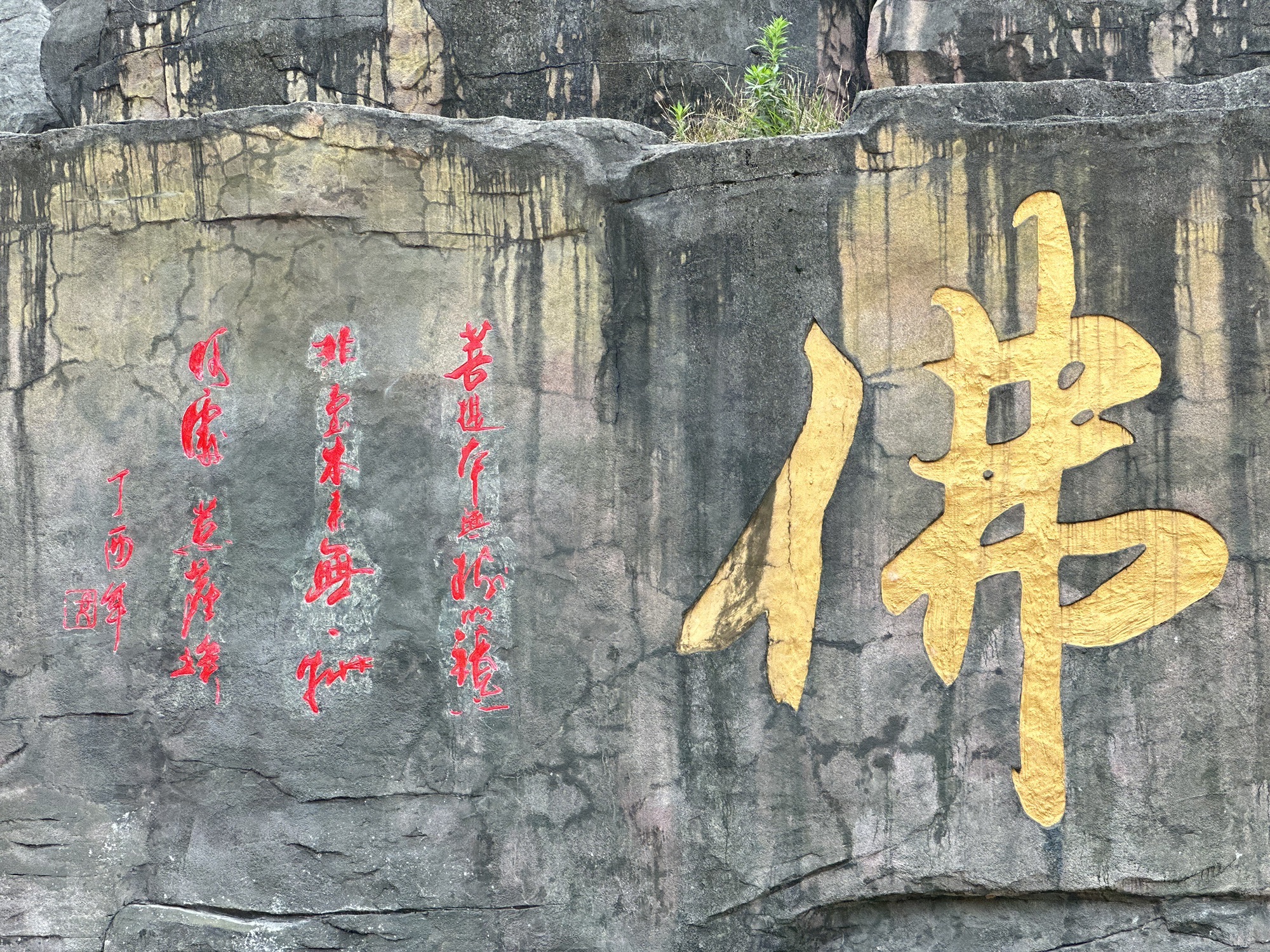 古佛山旅行图片 3