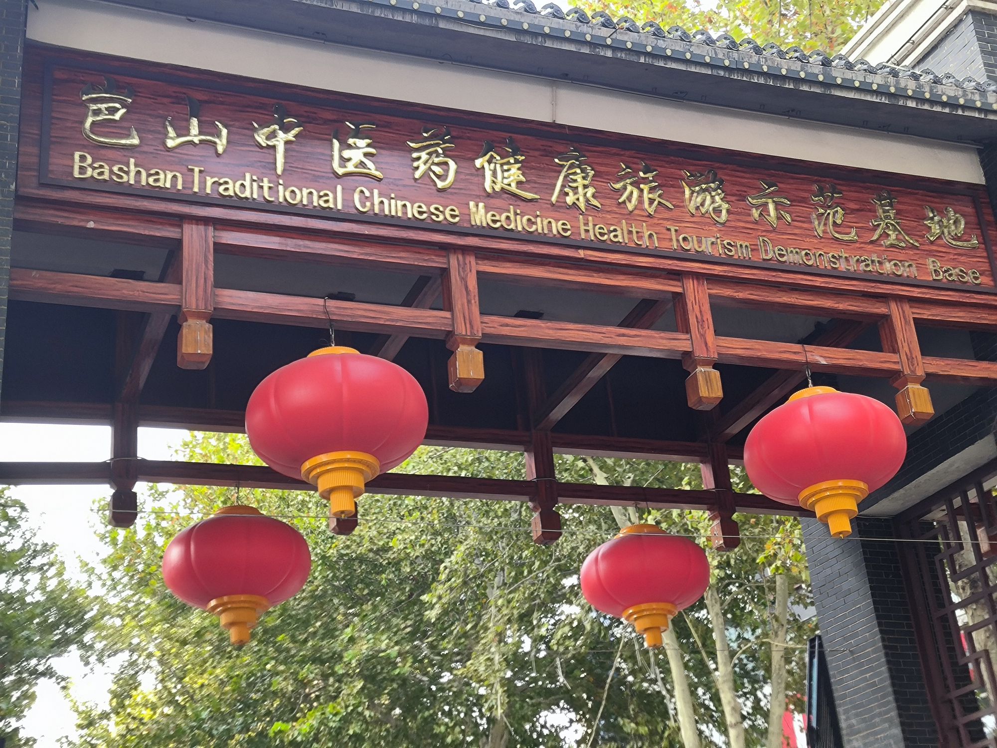 岜山中医药健康旅游基地旅行图片 1