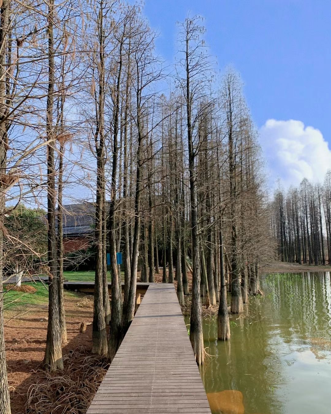 兰湖(装修中)旅行图片 2