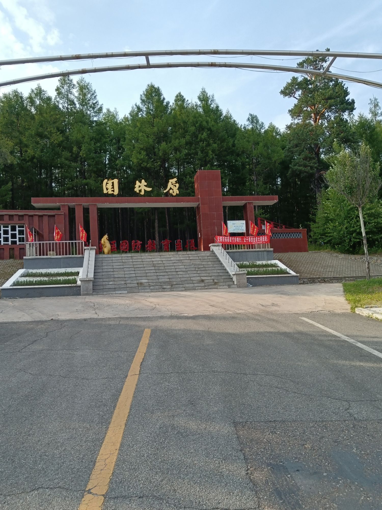 原始森林公园旅行图片 1