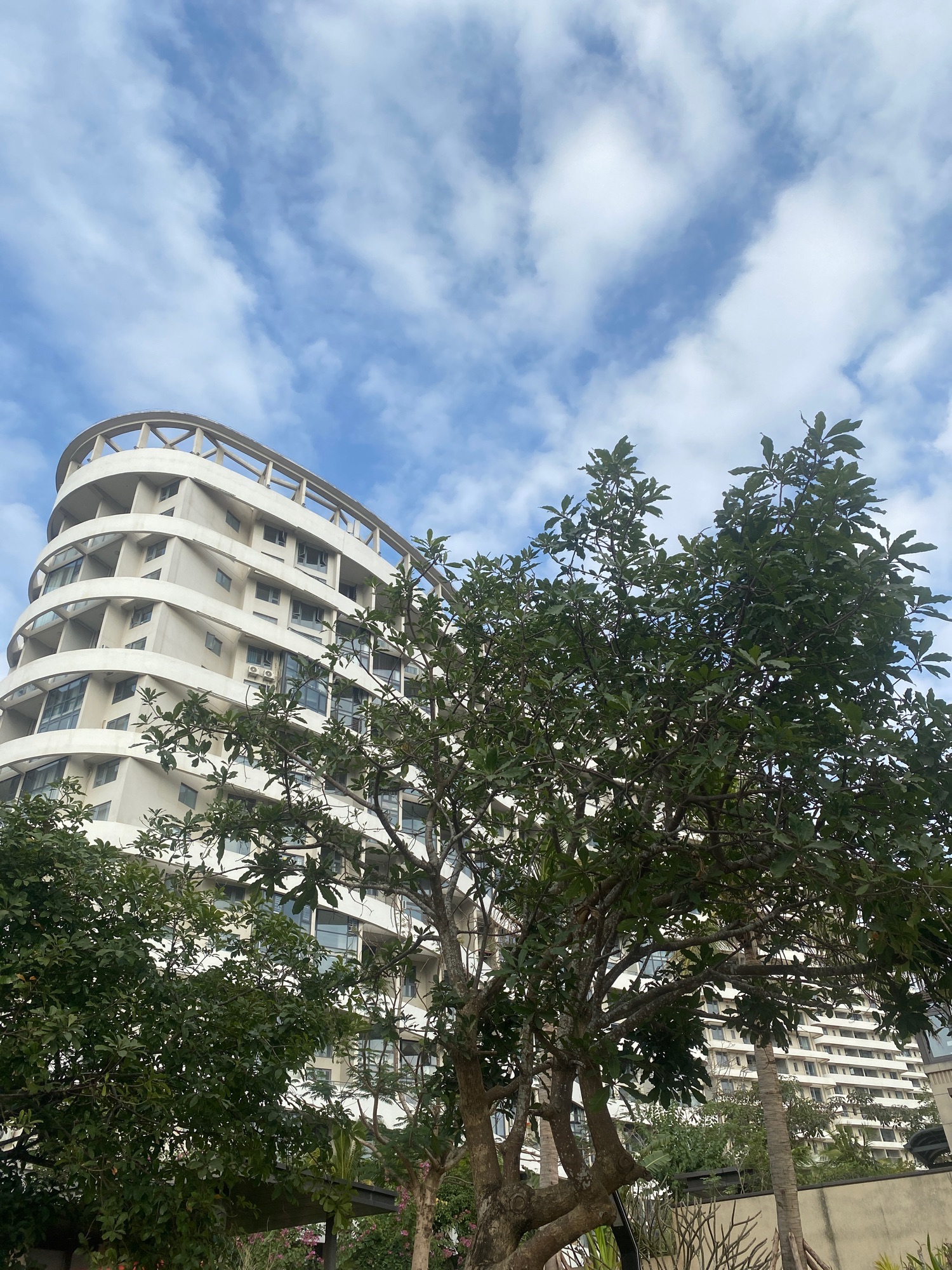 金沙湾滨海公园旅行图片 1