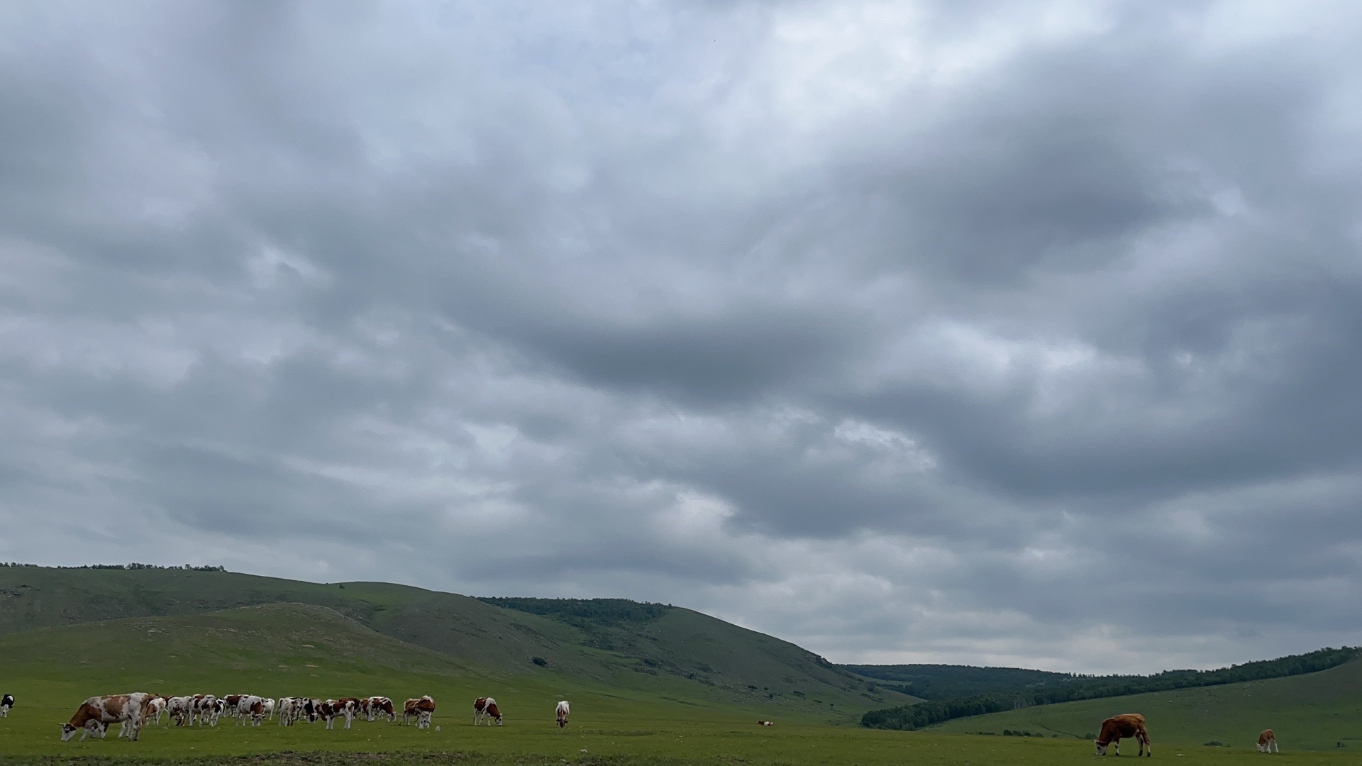 额尔古纳河乌兰山景区(暂停开放)旅行图片 2