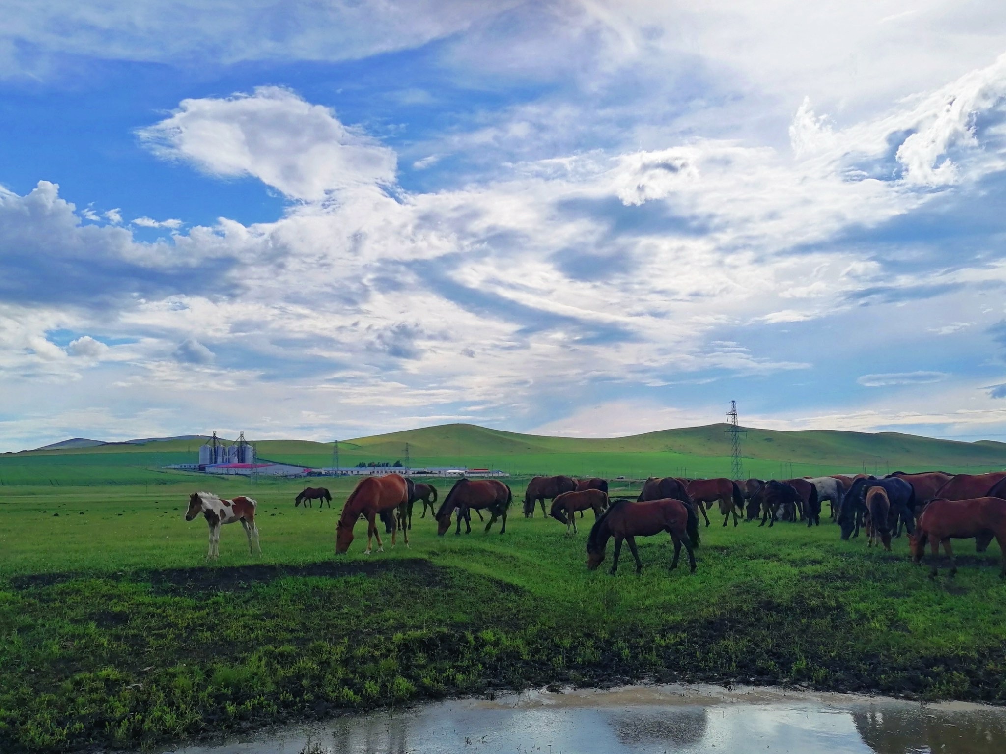 额尔古纳河乌兰山景区(暂停开放)旅行图片 1