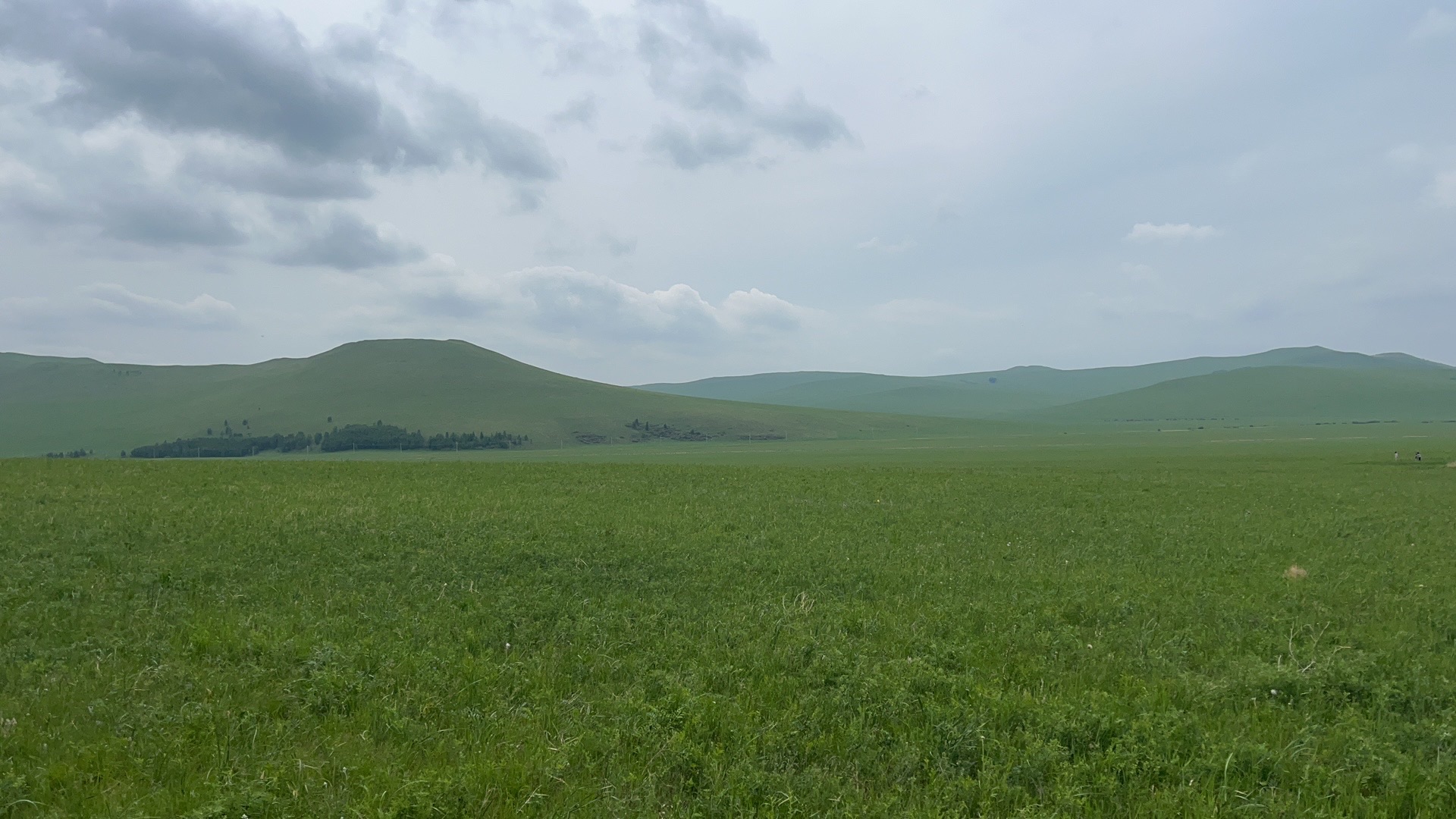 额尔古纳河乌兰山景区(暂停开放)旅行图片 1
