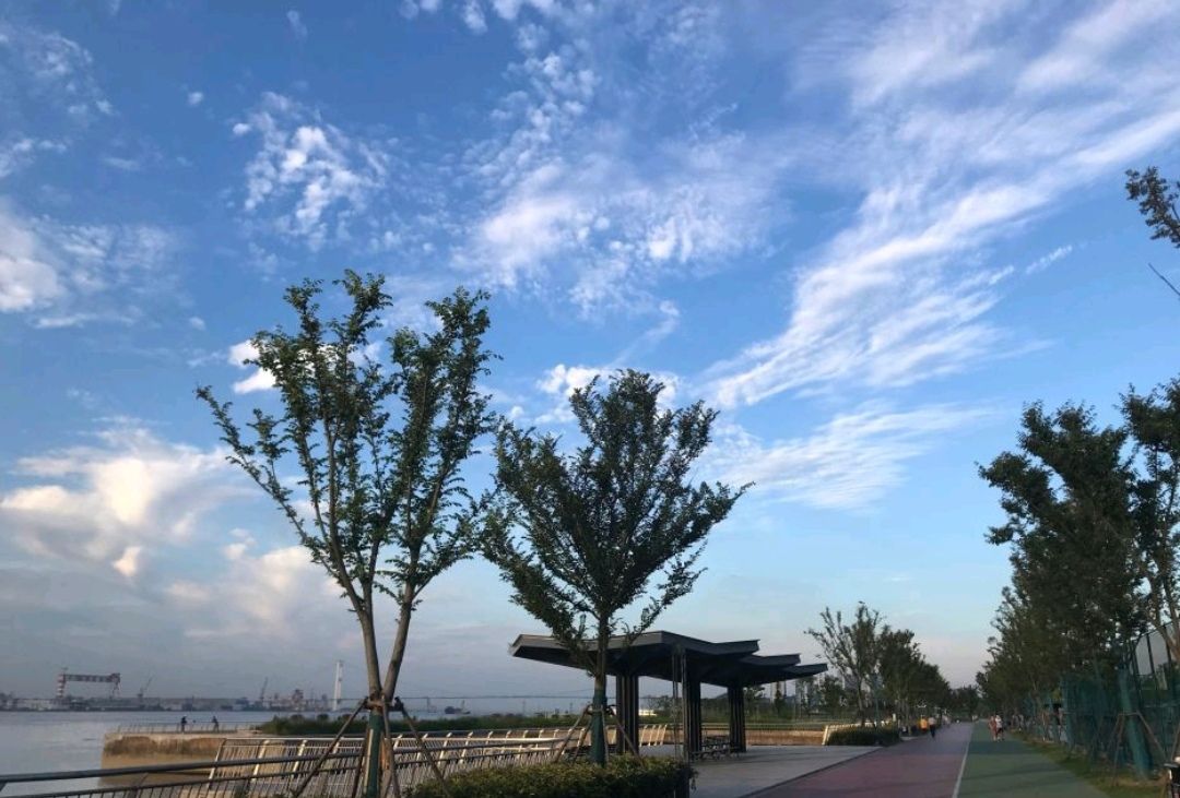 黄田港公园