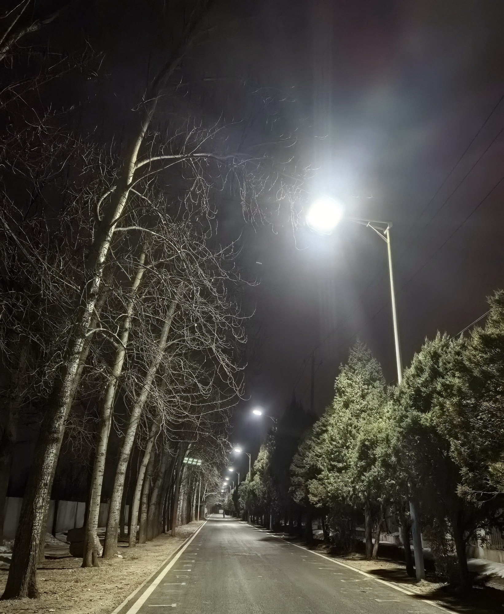 凤河古镇旅行图片 1