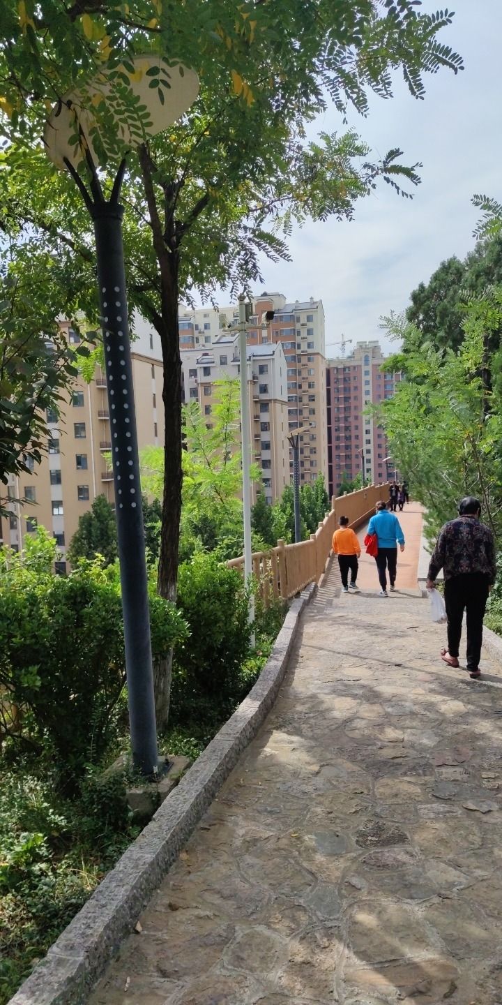 万灵山山体公园旅行图片 3