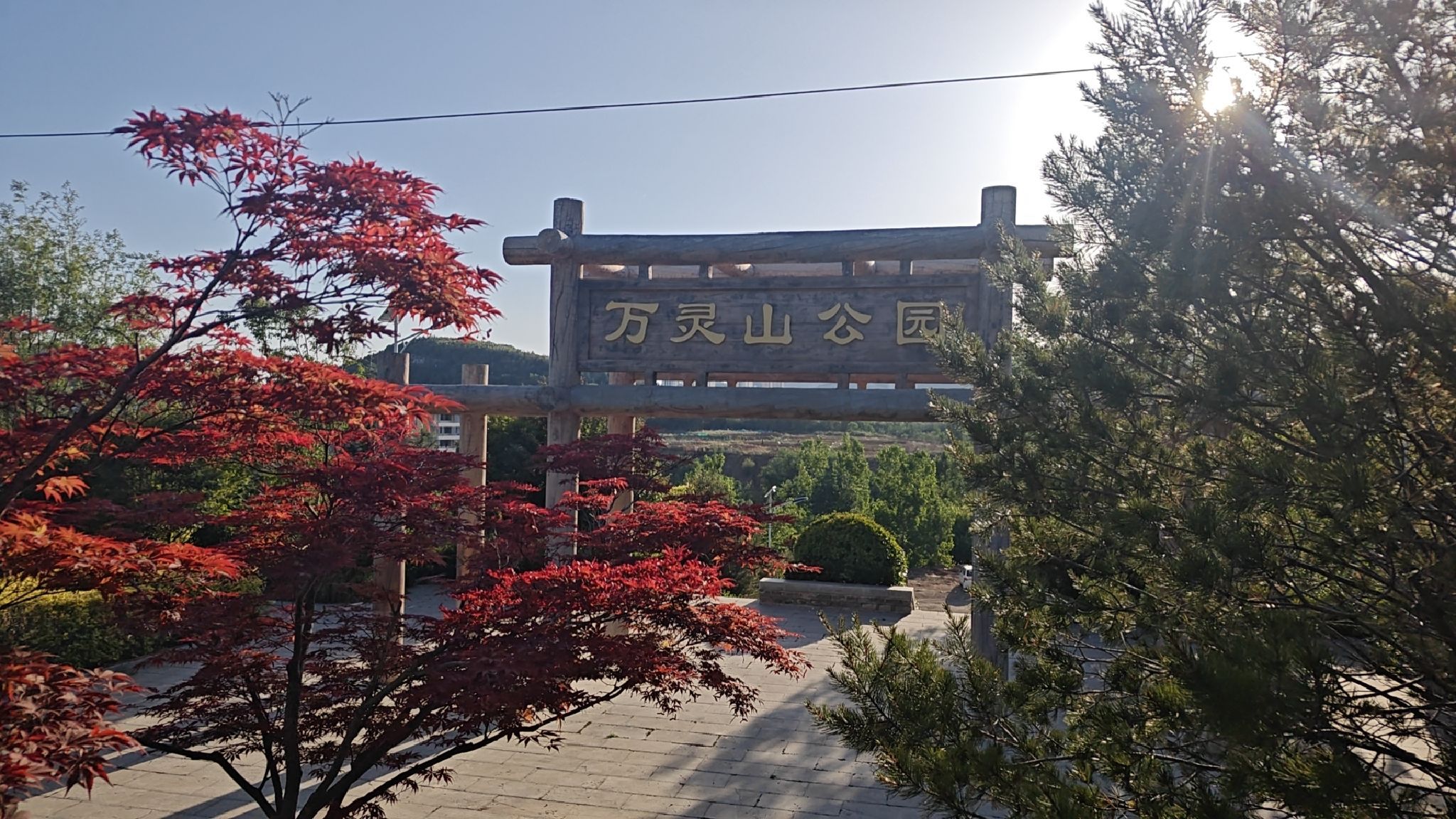 万灵山山体公园旅行图片 1