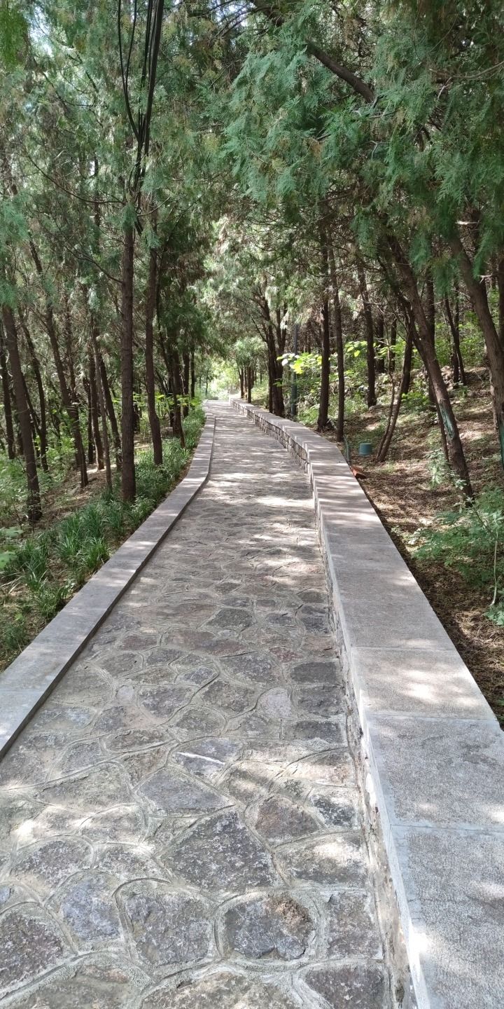 万灵山山体公园旅行图片 2