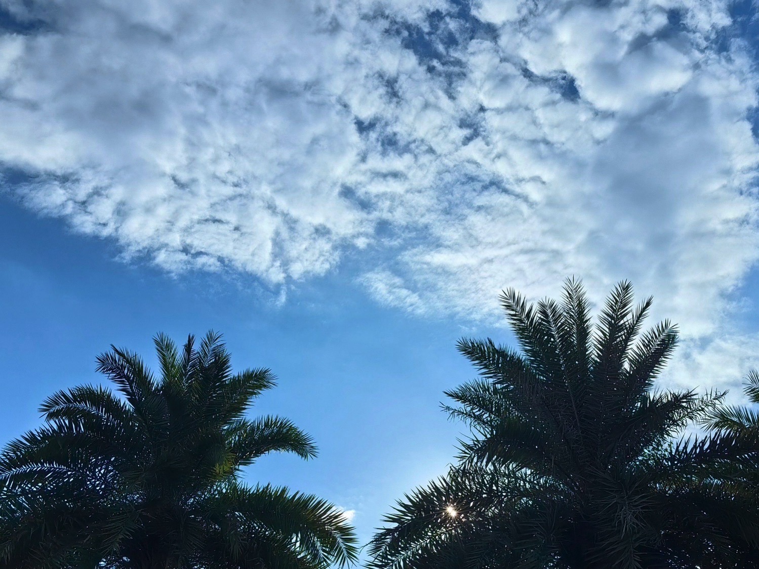 白坭坑牌坊旅行图片 3