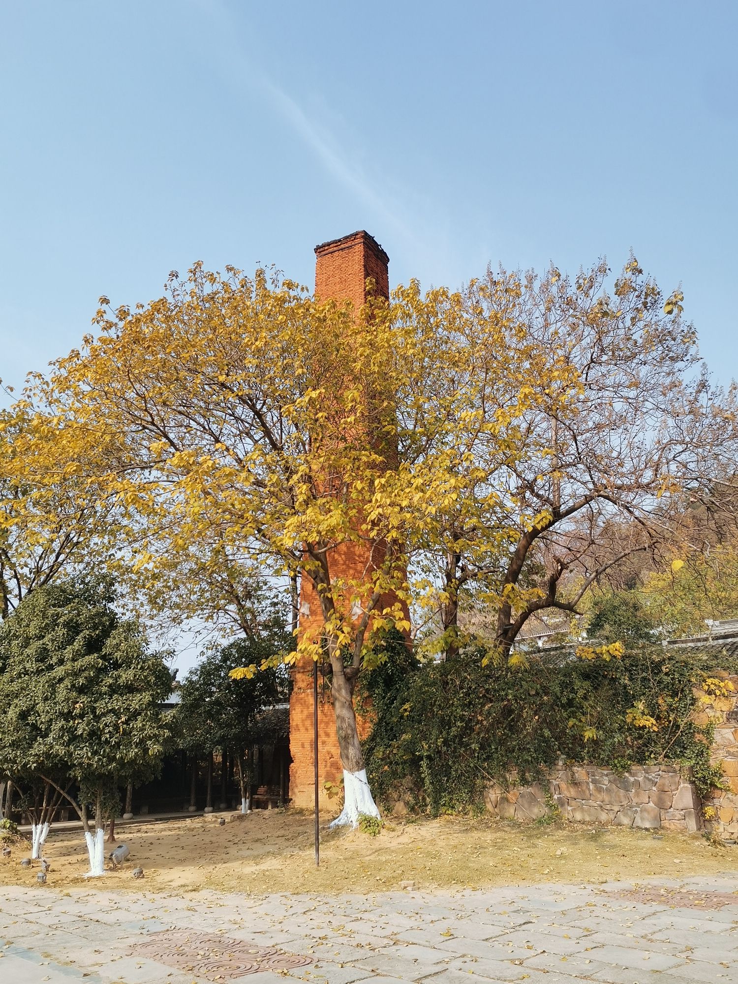 蜀山古南街旅行图片 2