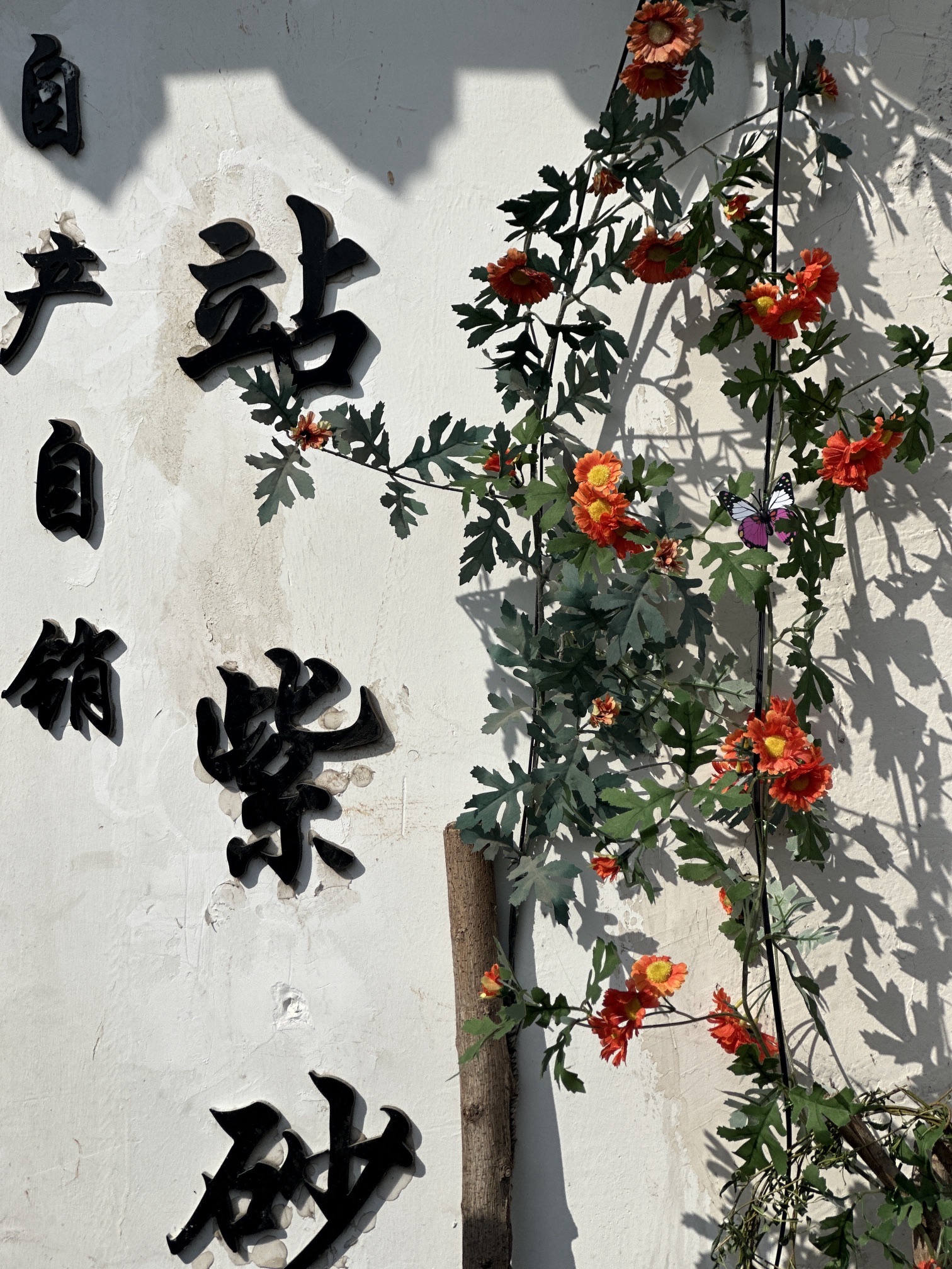 蜀山古南街旅行图片 2