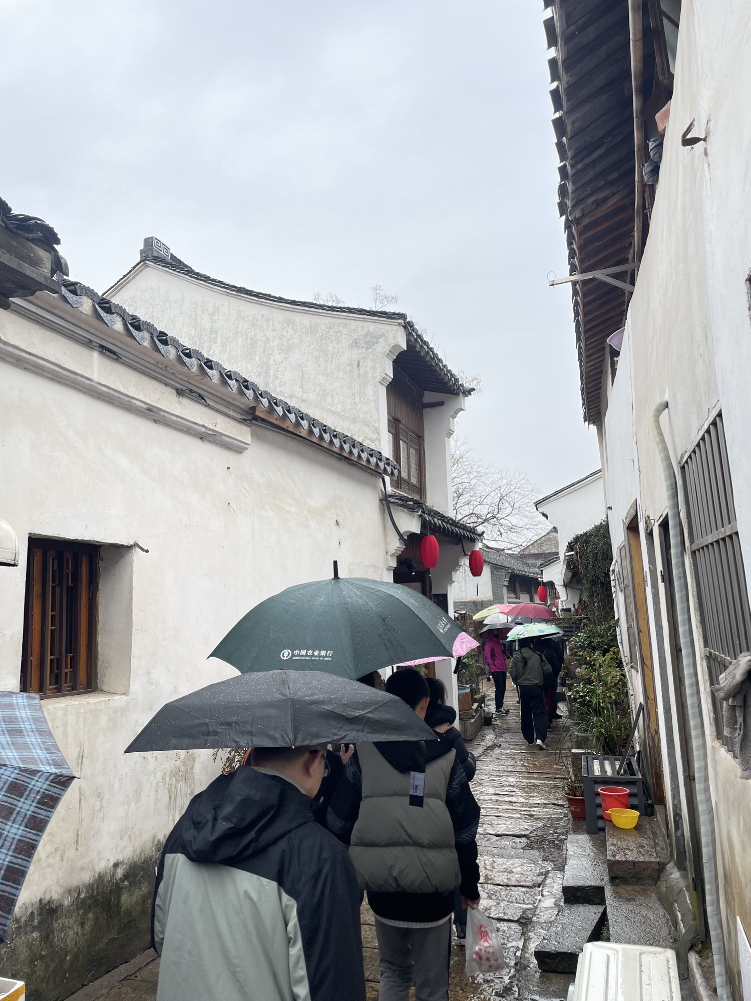 蜀山古南街旅行图片 2