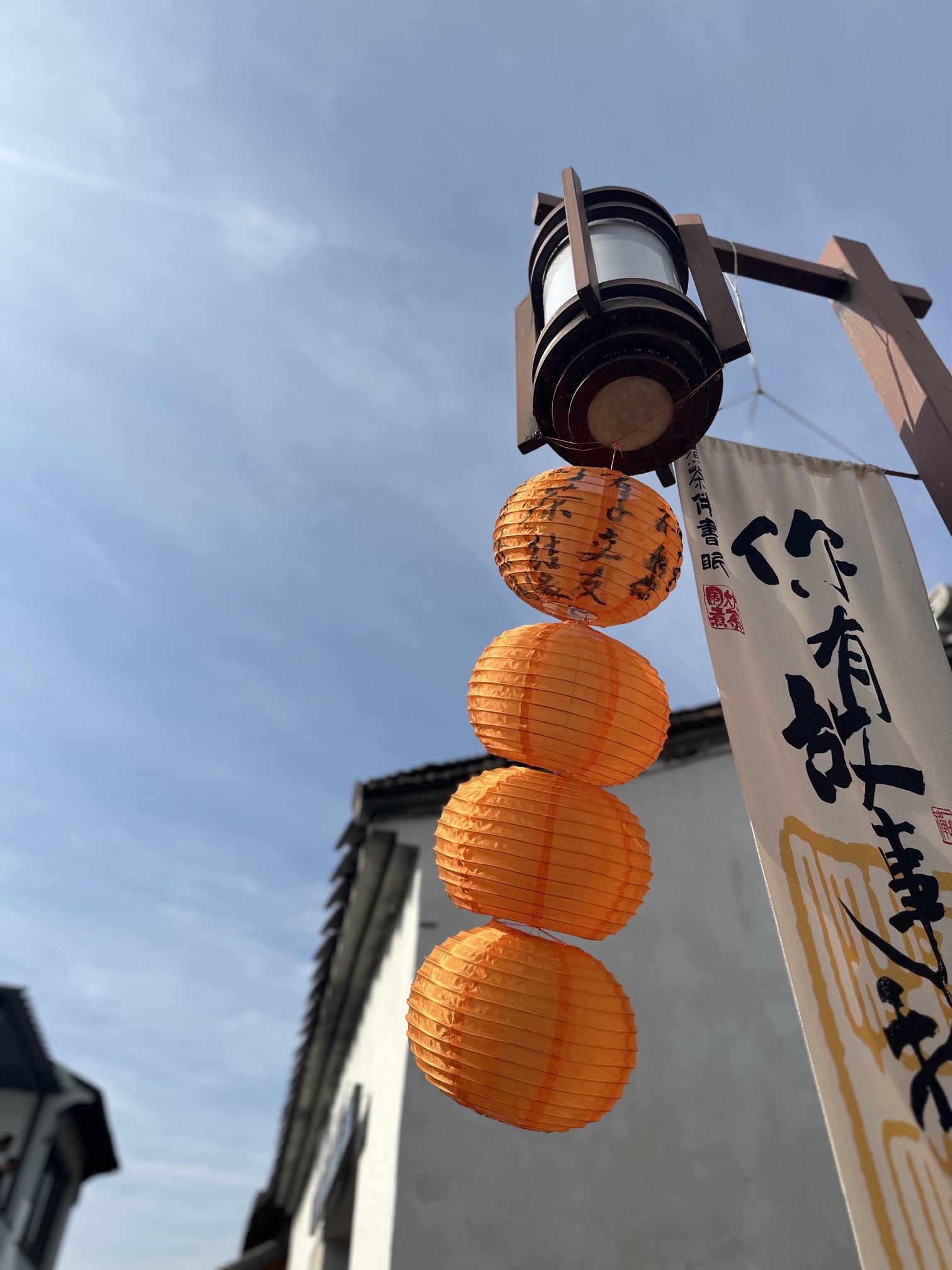 蜀山古南街旅行图片 3