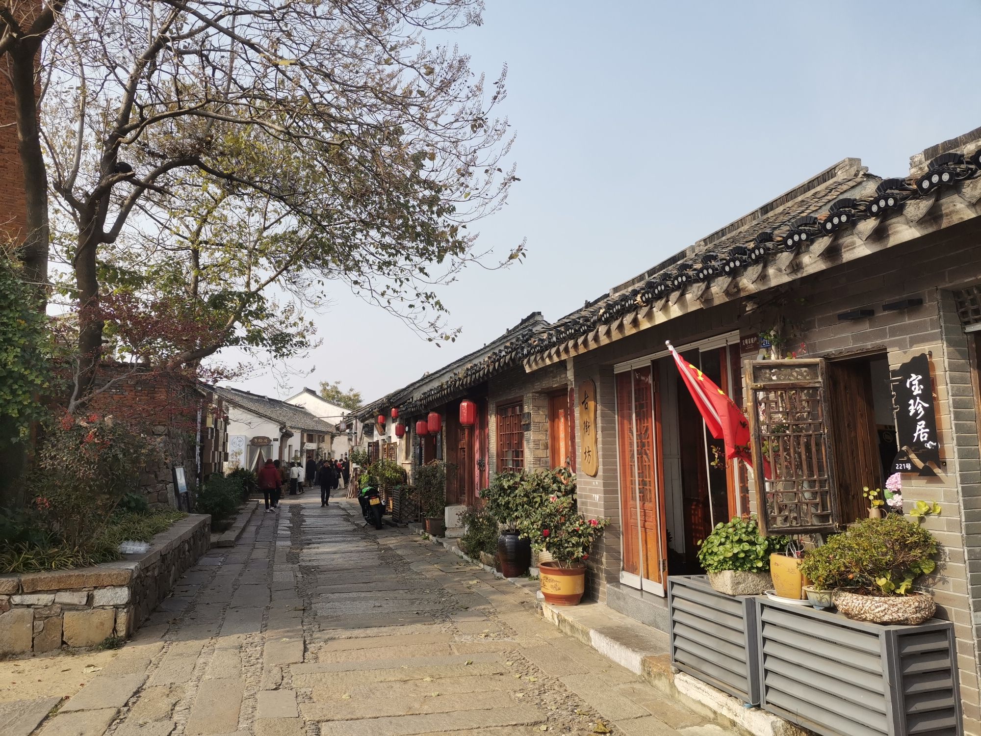 蜀山古南街旅行图片 3