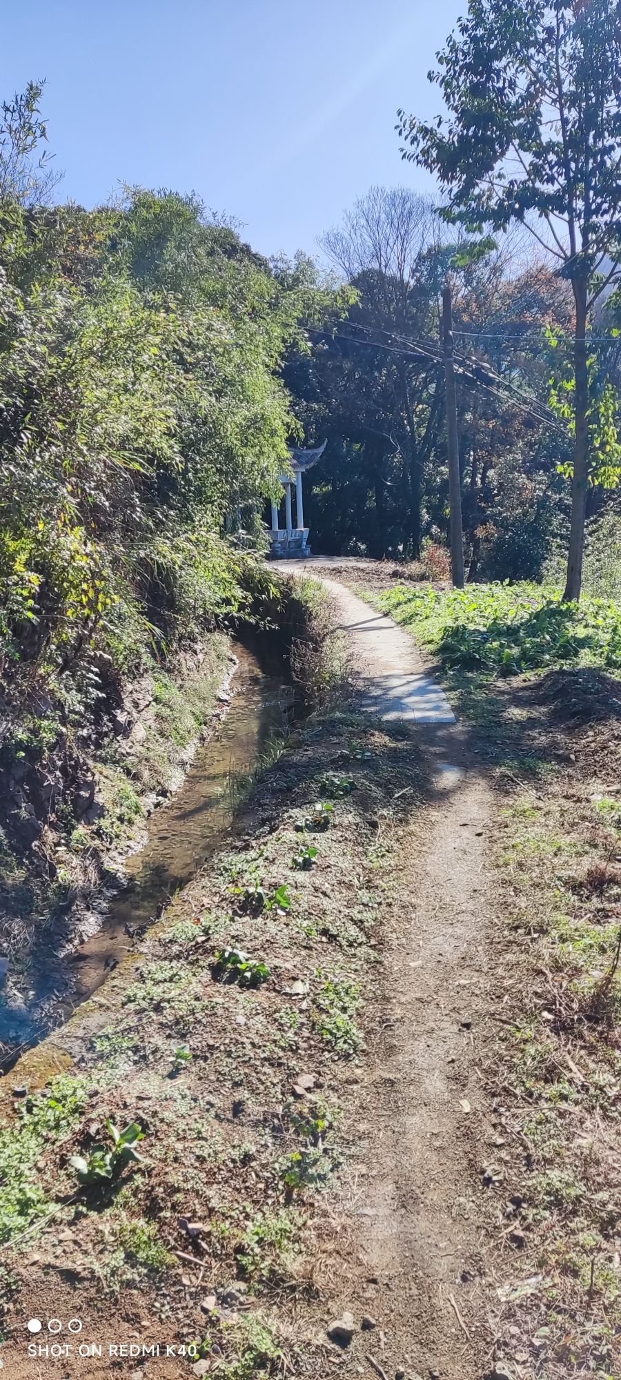 庵山森林公园旅行图片 2
