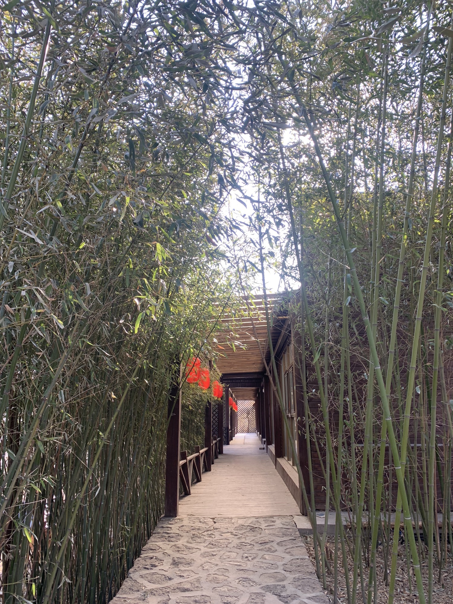 获鹿山谷旅行图片 3