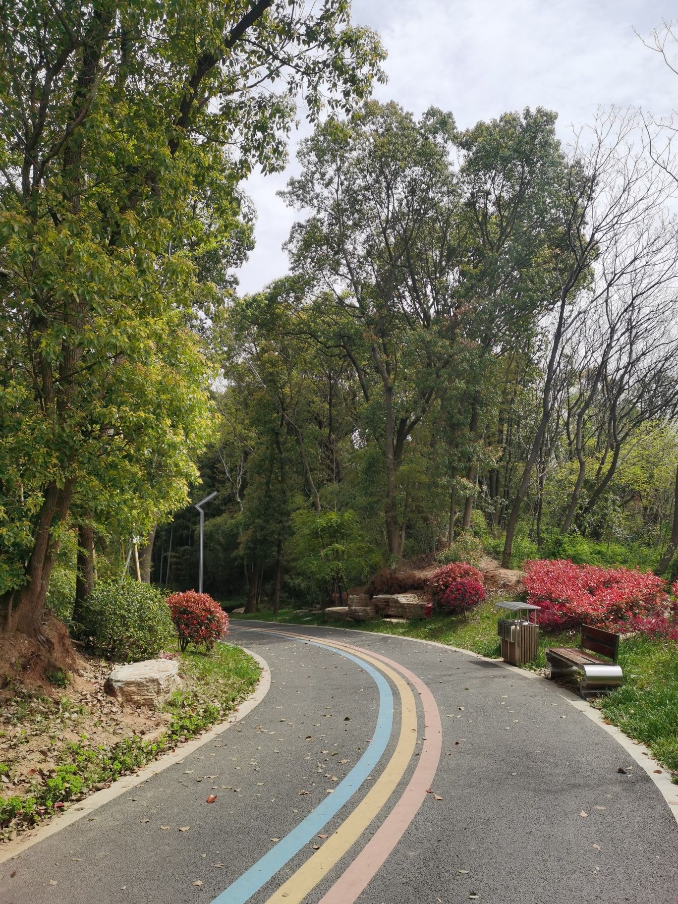 蟠龙山新时代廉洁文化公园旅行图片 3